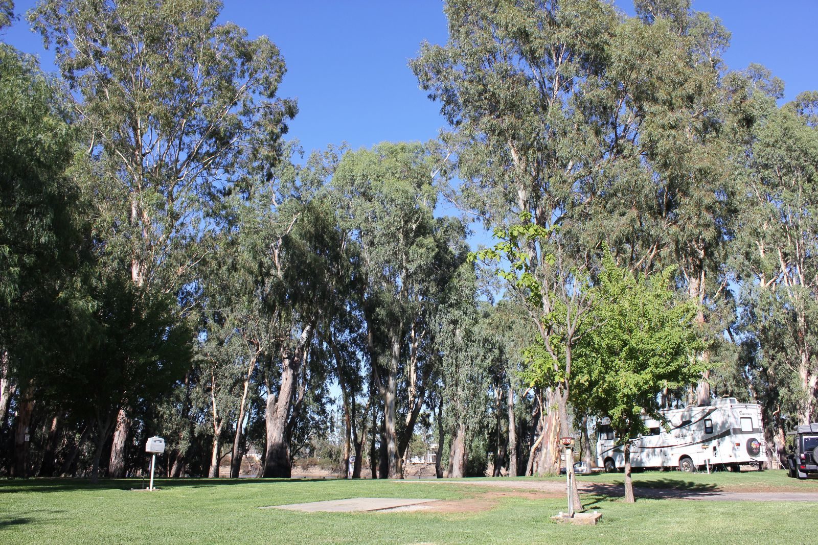 Barham Caravan and Tourist Park in Barham, NSW — photo 1