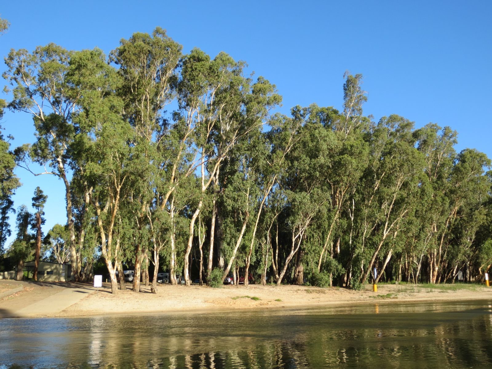 Barham Caravan and Tourist Park — Barham, NSW