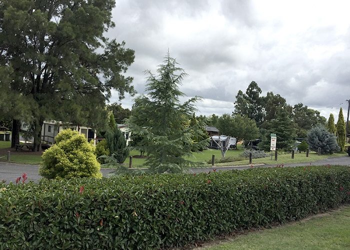 Inverell Caravan Park in Inverell, NSW — photo 2