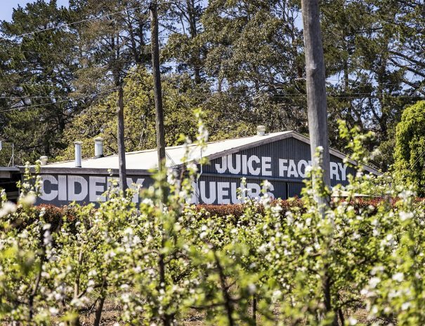 Top Of The Town Tourist Park in Stanthorpe, QLD — photo 4