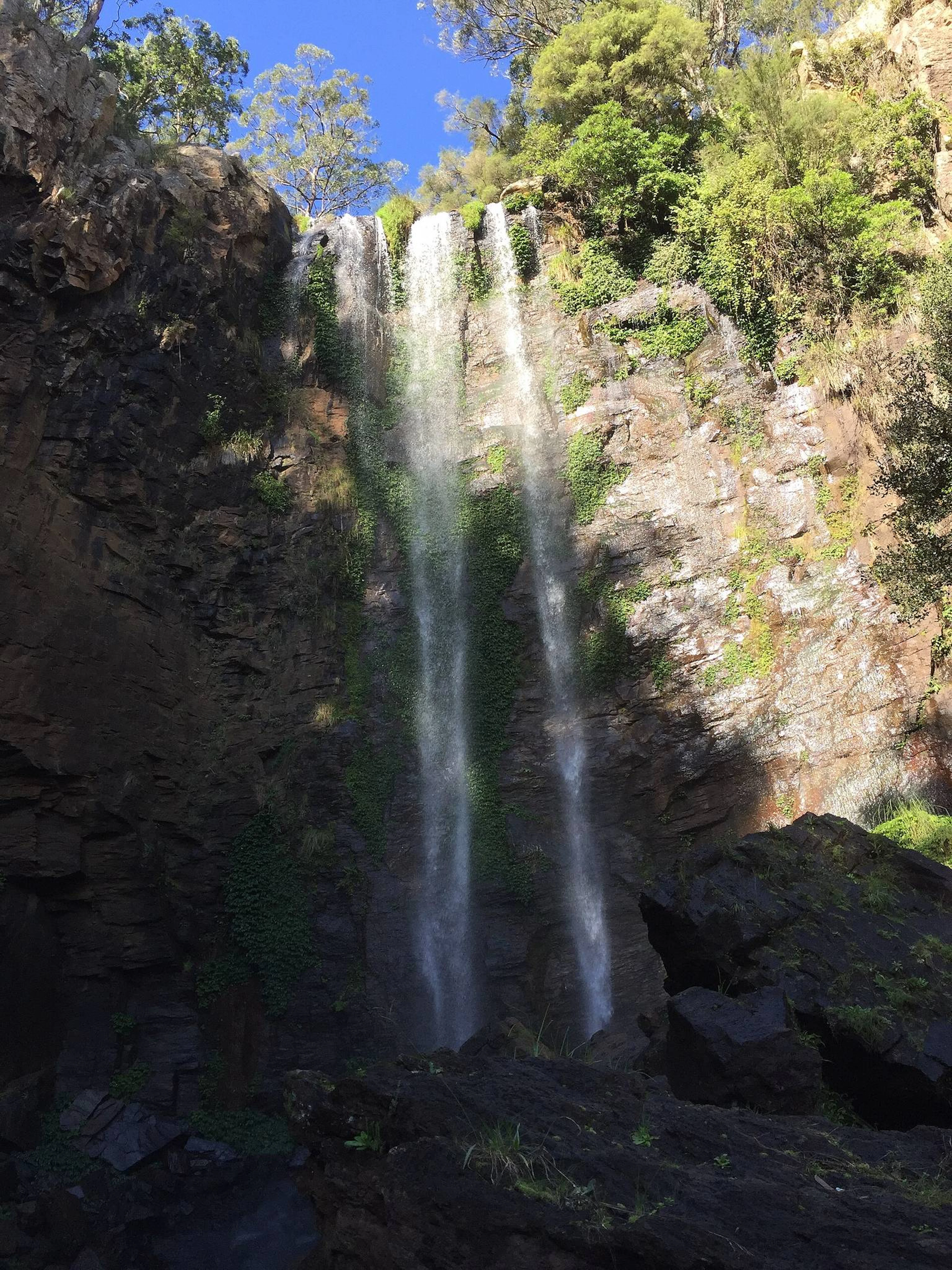 Queen Mary Falls Caravan Park and Cabins in Killarney, QLD — photo 3