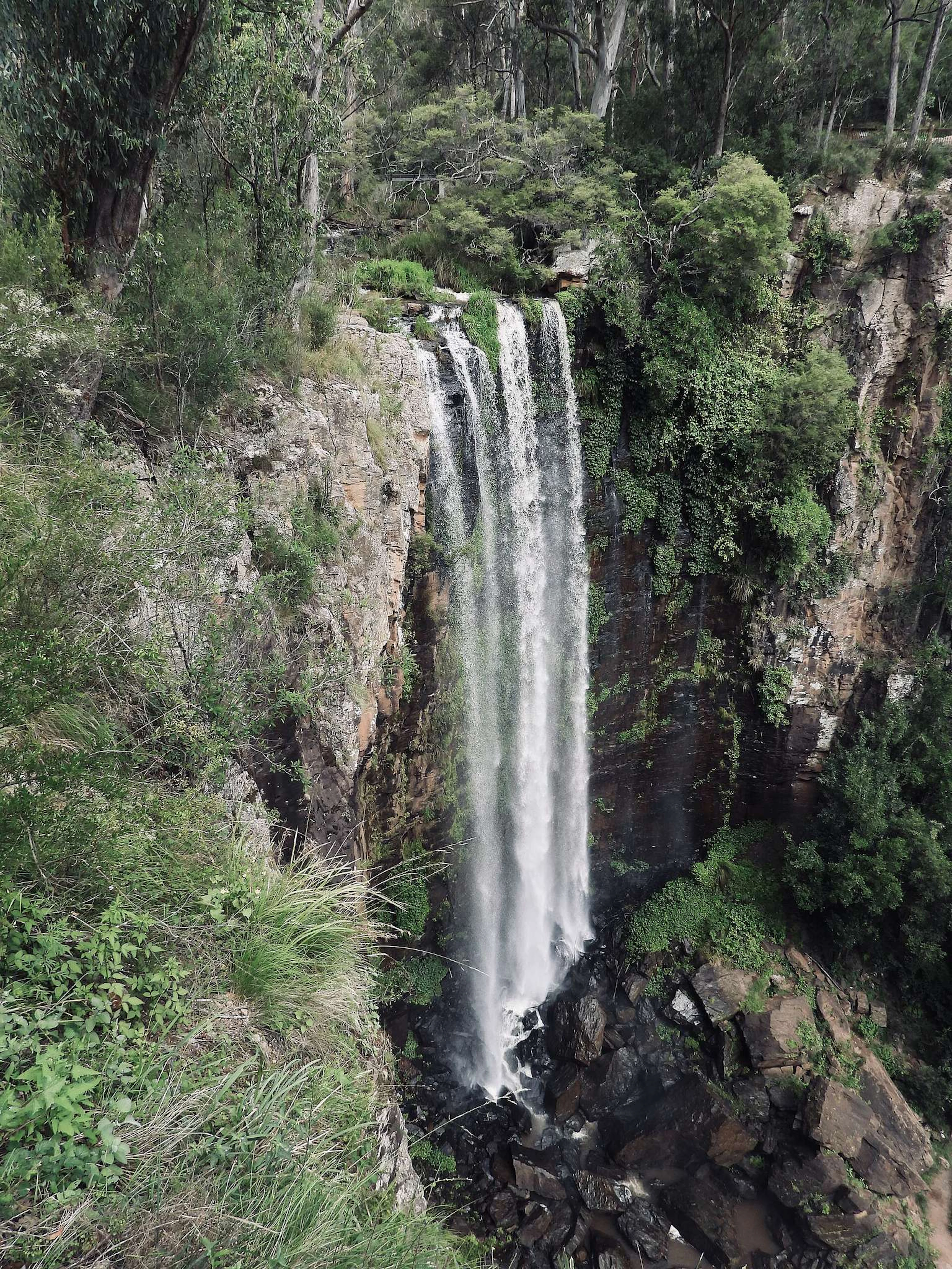 Queen Mary Falls Caravan Park and Cabins in Killarney, QLD — photo 2