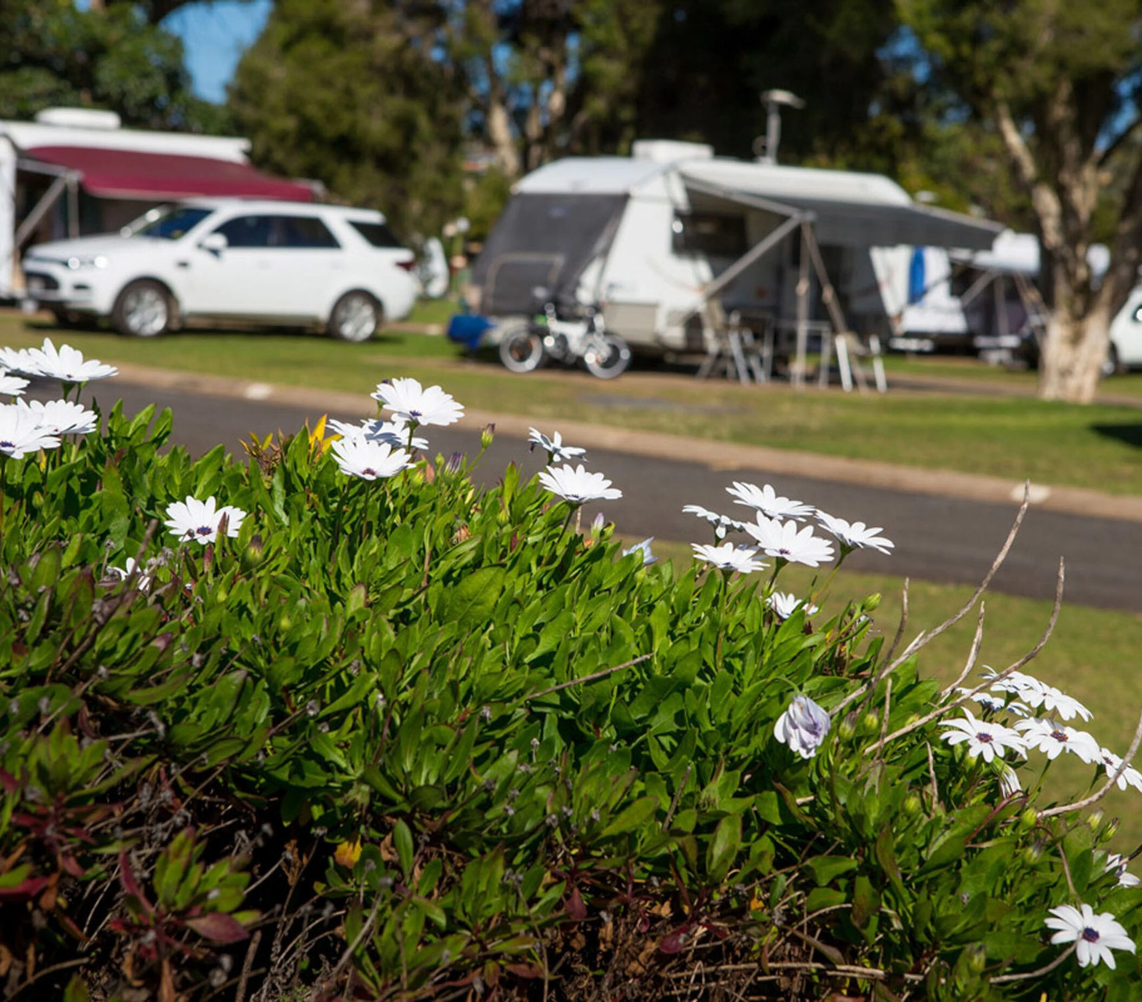 Toowoomba Motor Village in Toowoomba, QLD — photo 1