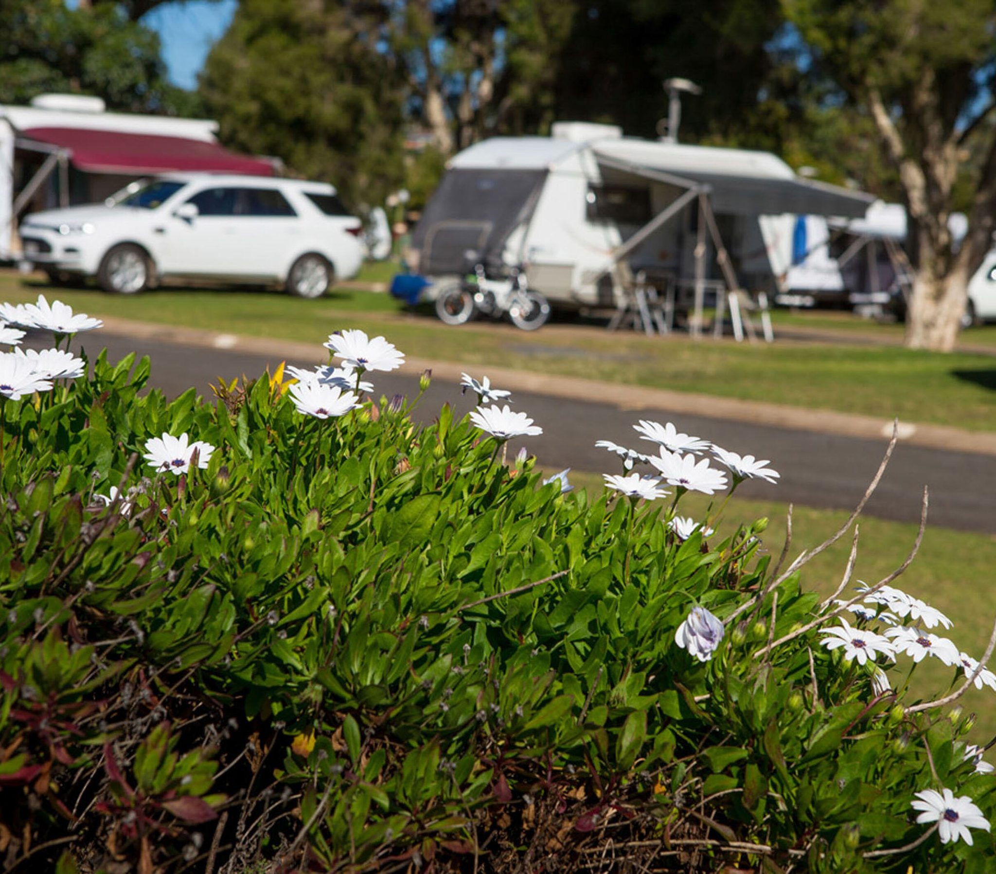 Toowoomba Motor Village — Toowoomba, QLD