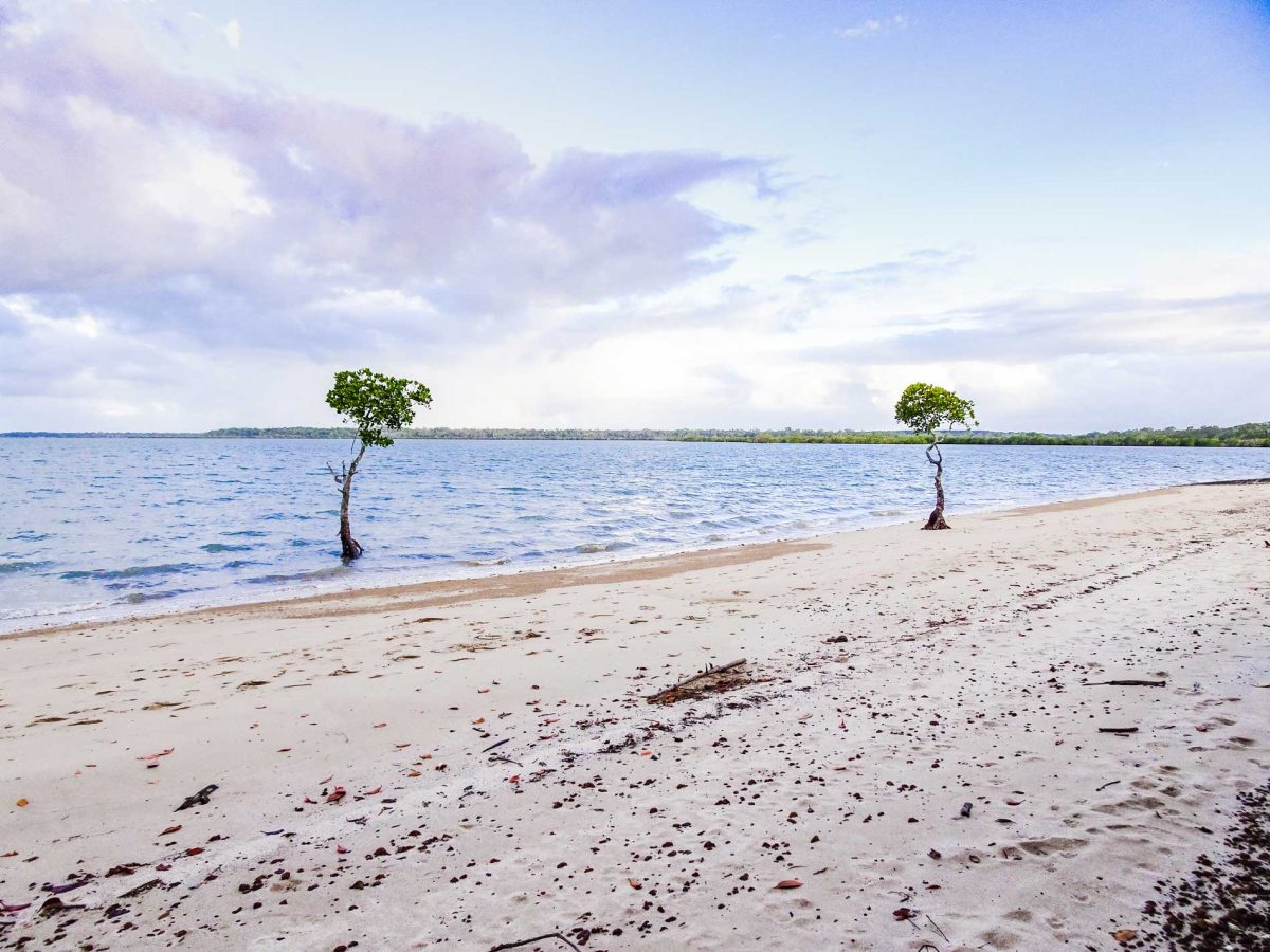 Poona Palms Caravan Park in Poona, QLD — photo 5