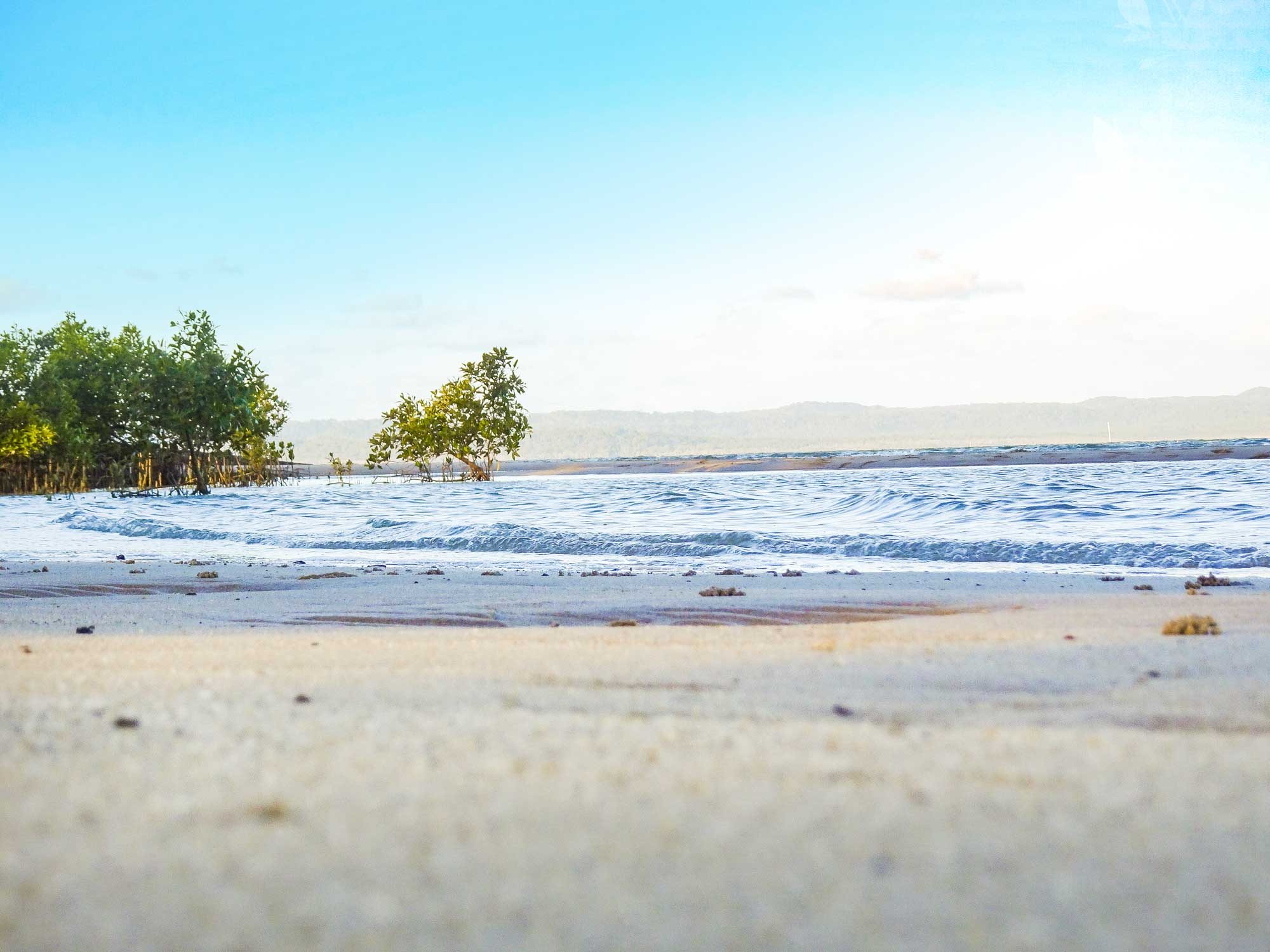 Poona Palms Caravan Park in Poona, QLD — photo 1
