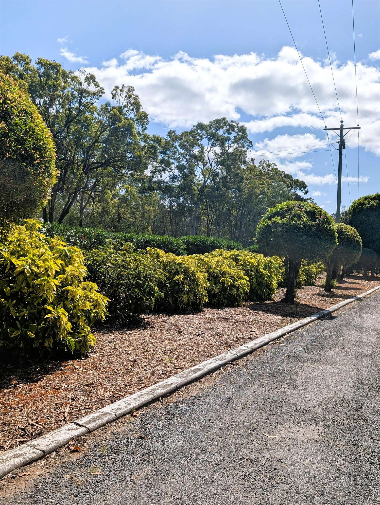 Burrum River Caravan Park in Howard, QLD — photo 5