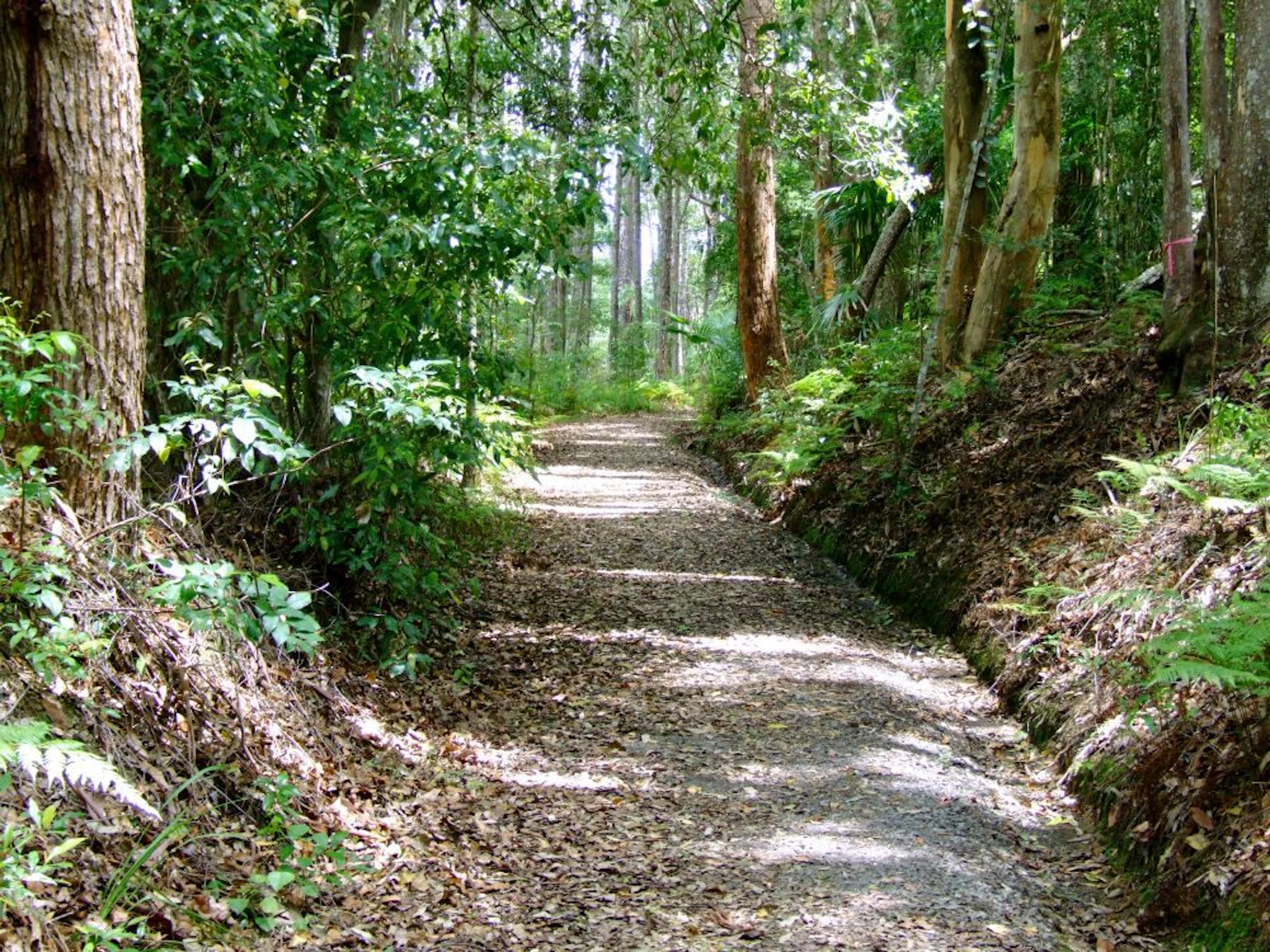 Forest Glen Holiday Resort in Forest Glen, QLD — photo 1