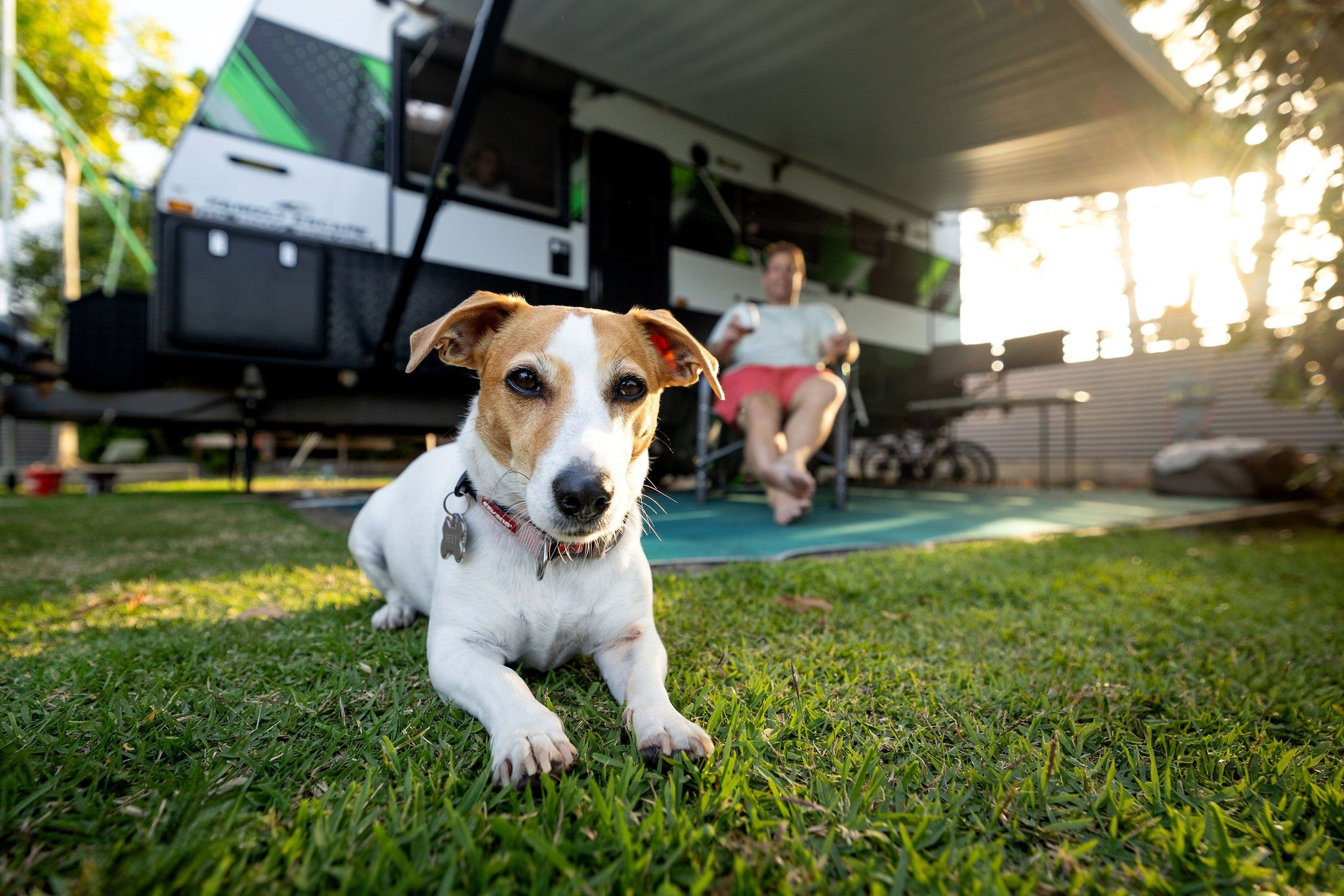 Maroochy River Park in Maroochydore, QLD — photo 3