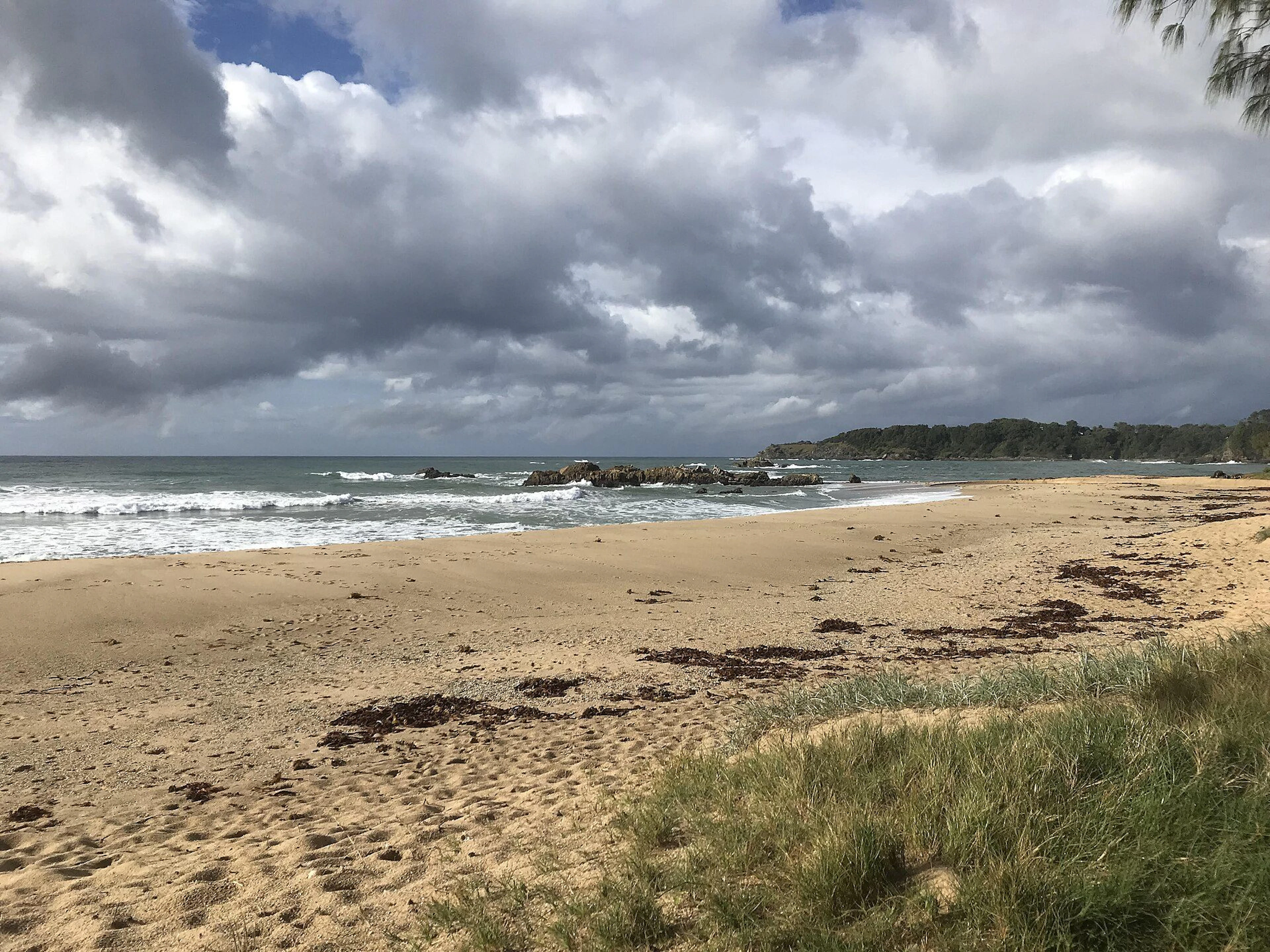 Banana Coast Caravan Park in Coffs Harbour, NSW — photo 3