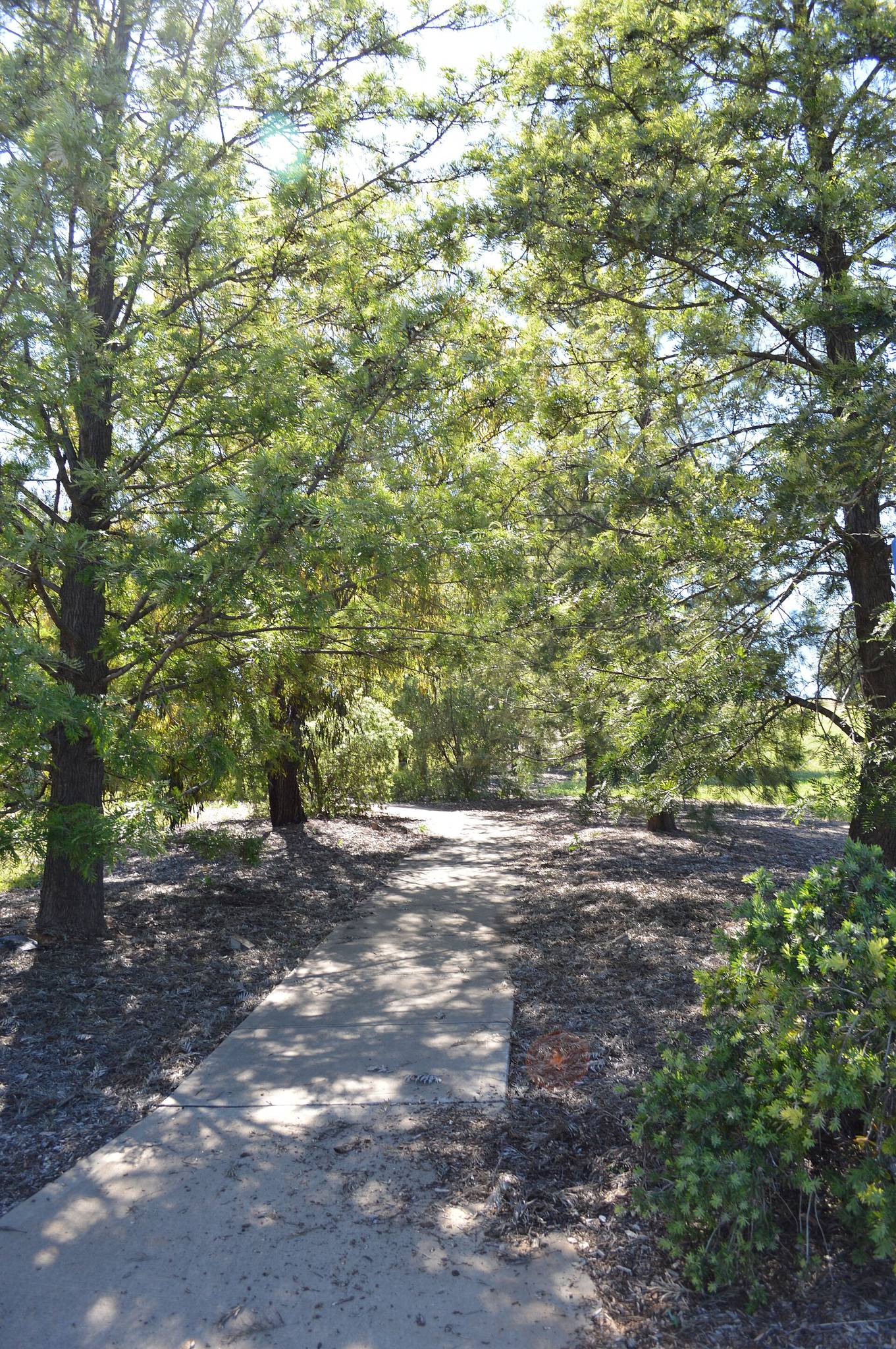 Kelly Reserve in Parkes, NSW — photo 3