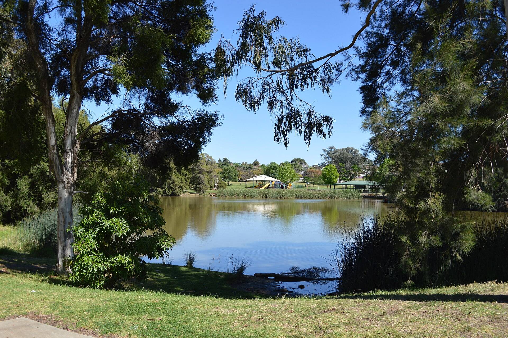 Kelly Reserve in Parkes, NSW — photo 2