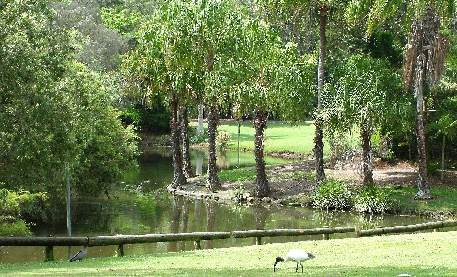 Lazy Acres Caravan Park in Hervey Bay, QLD — photo 3