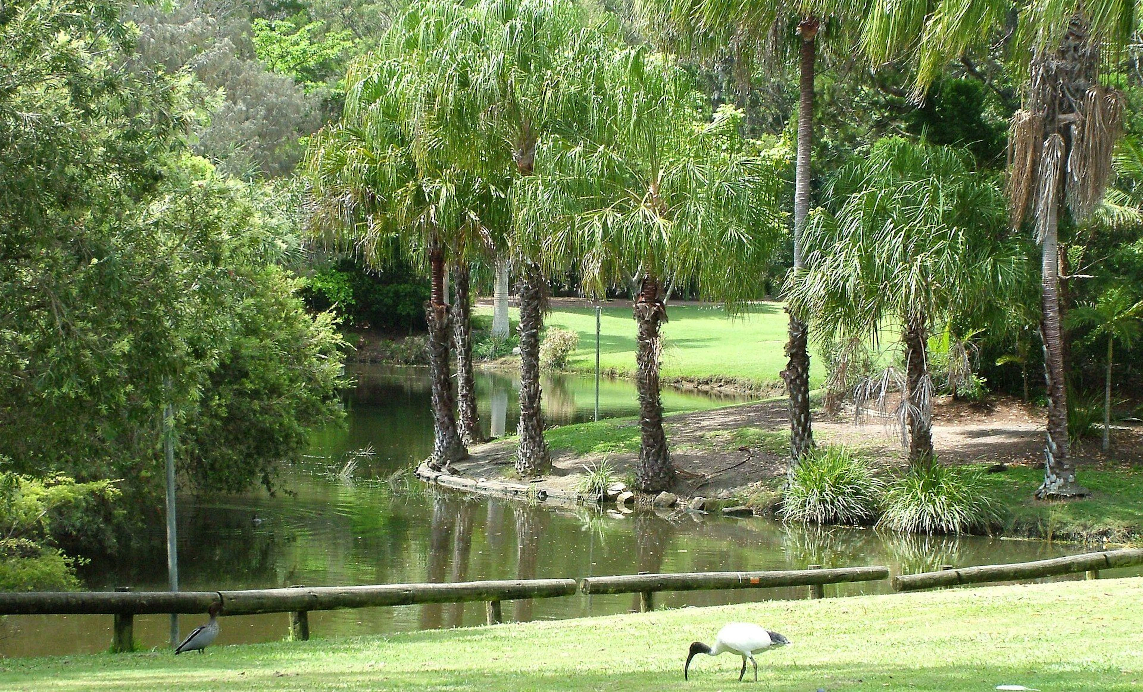 Lazy Acres Caravan Park in Hervey Bay, QLD — photo 3