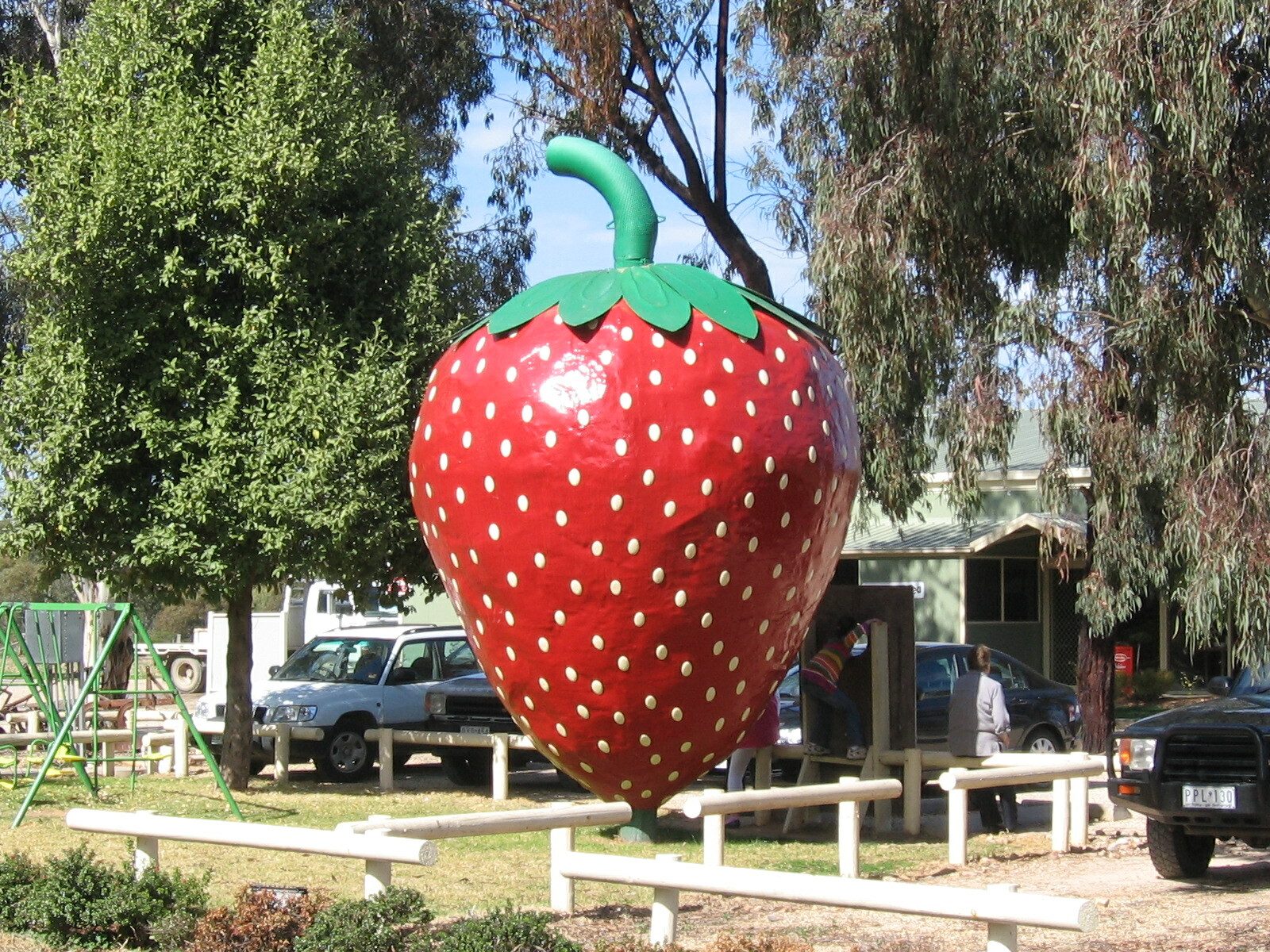 The Big Strawberry — Koonoomoo, VIC