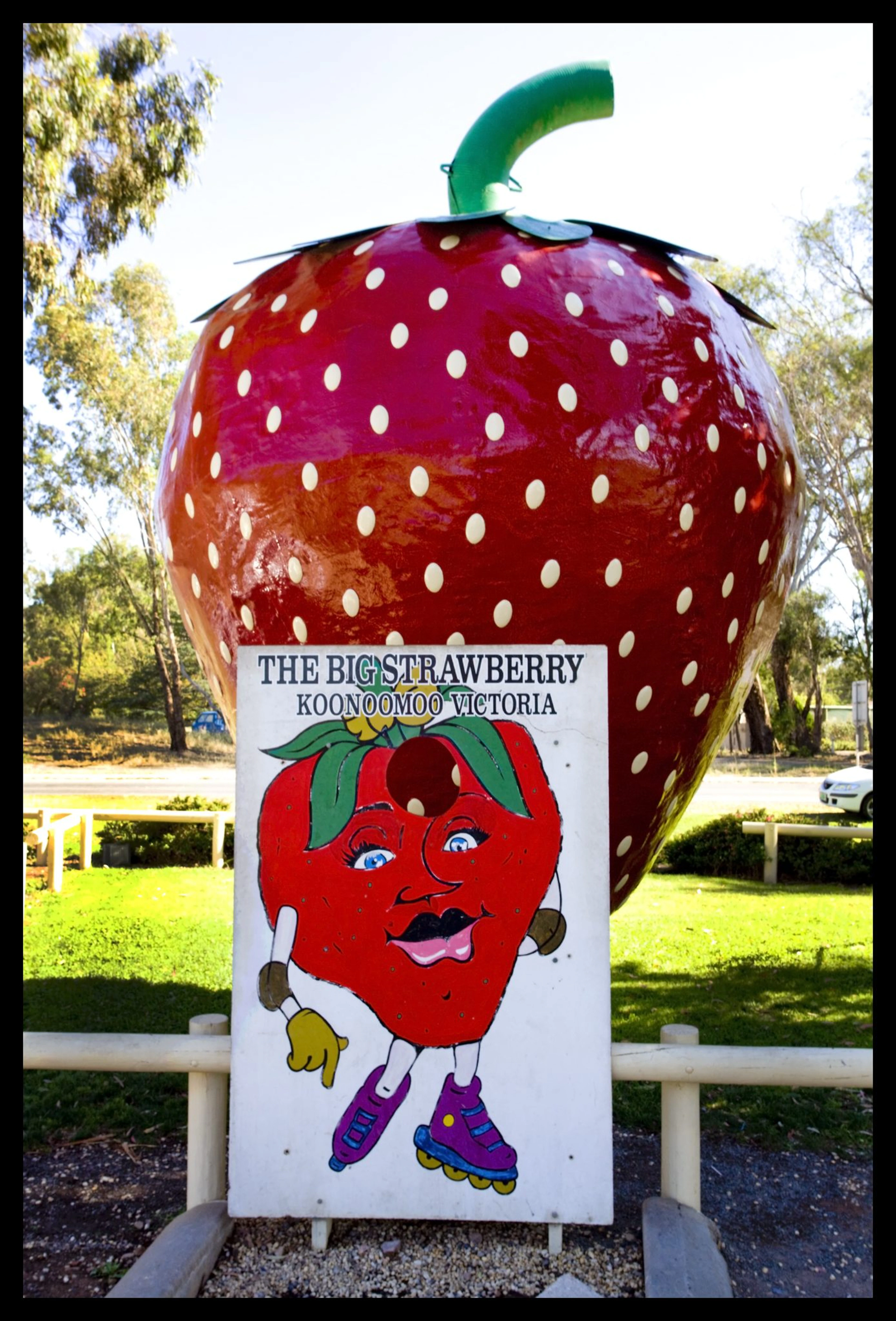 The Big Strawberry in Koonoomoo, VIC — photo 2