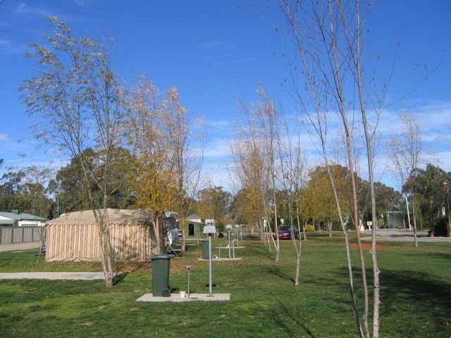 Cobram Oasis Caravan Park in Cobram, VIC — photo 4