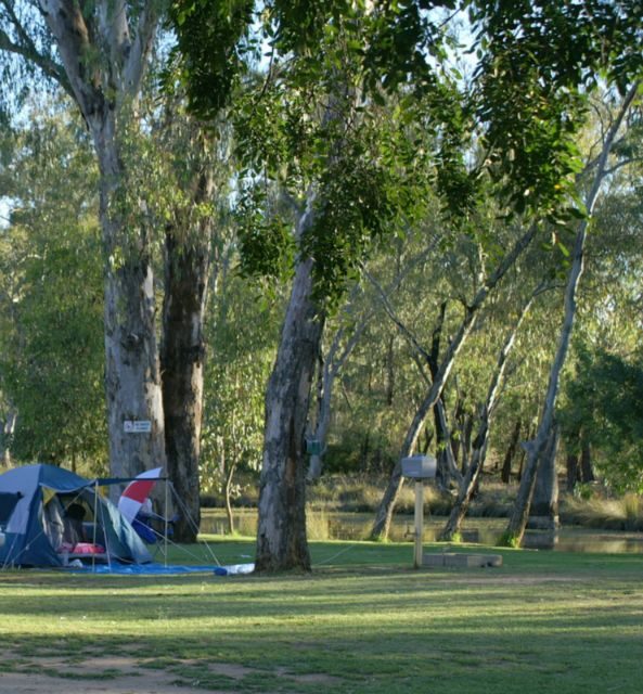 Numurkah Caravan Park in Numurkah, VIC — photo 4