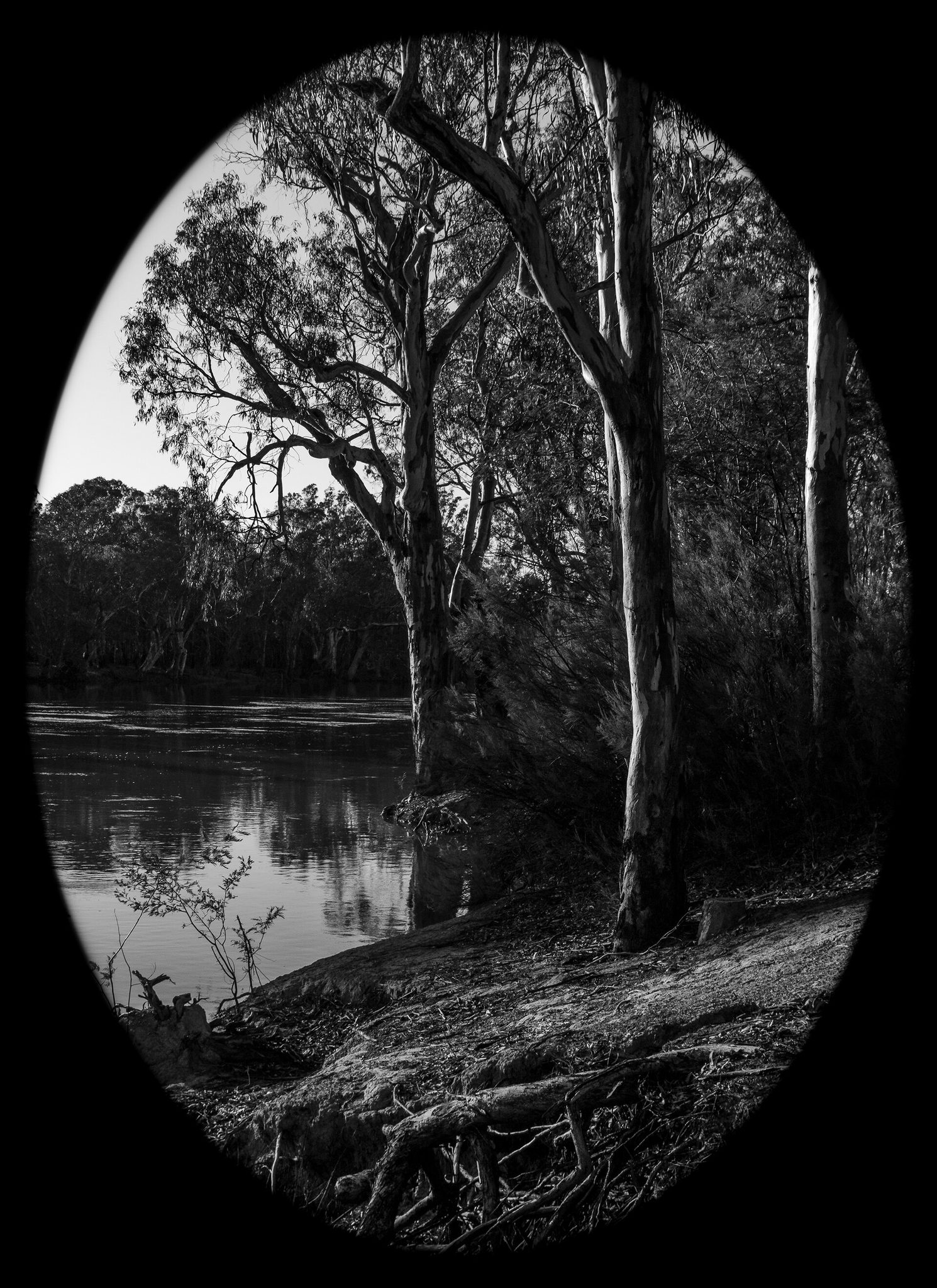 Christies Beach Murray River — Echuca, VIC