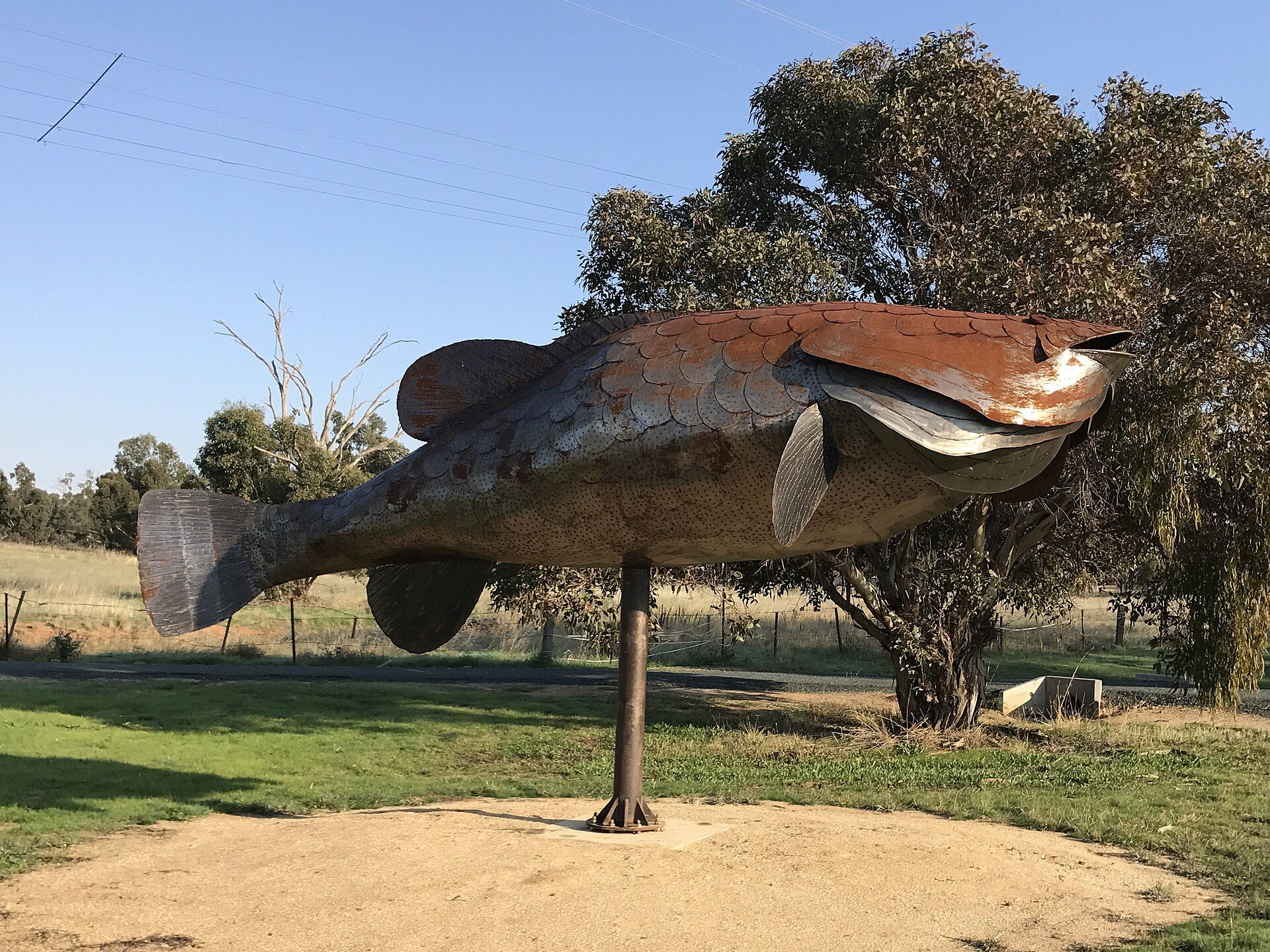 Mathoura Long Paddock Visitor Information Centre in Mathoura, NSW — photo 1