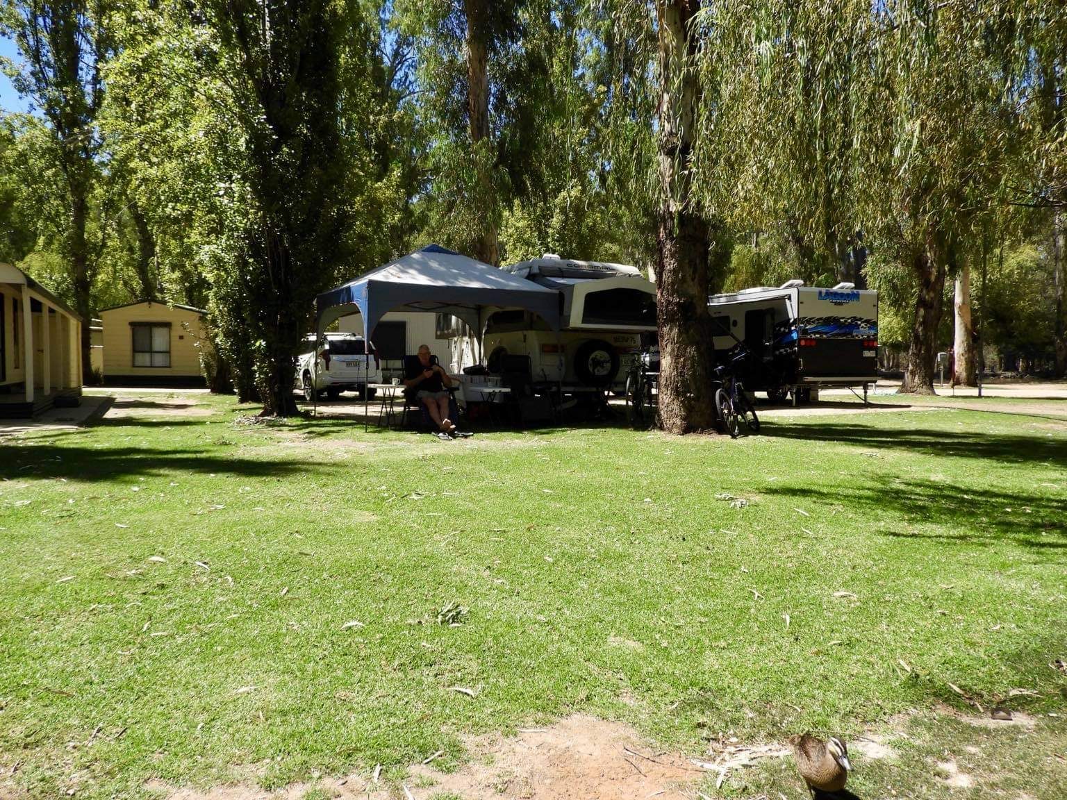 Murraybank Caravan Park in Mathoura, NSW — photo 1