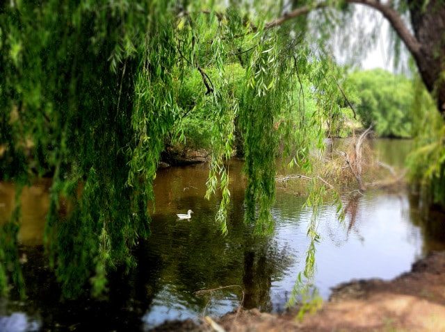 Dunolly Caravan Park in Dunolly, VIC — photo 1