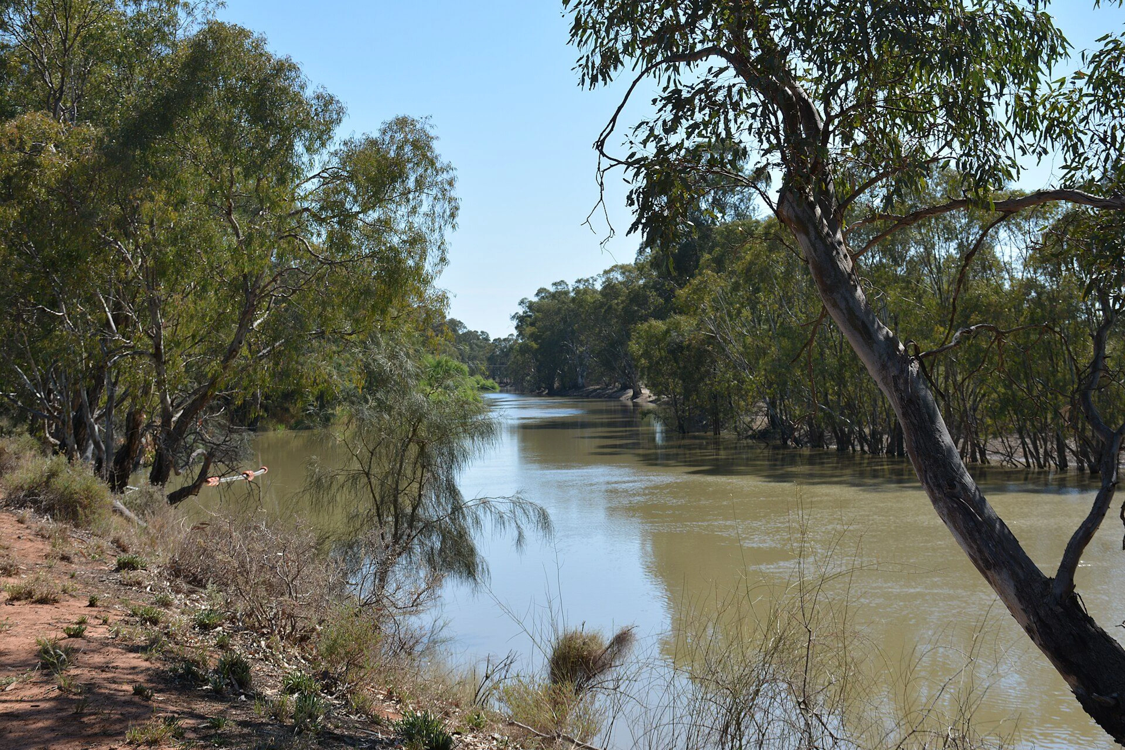 Swan Hill South Rest Area in Swan Hill, VIC — photo 1