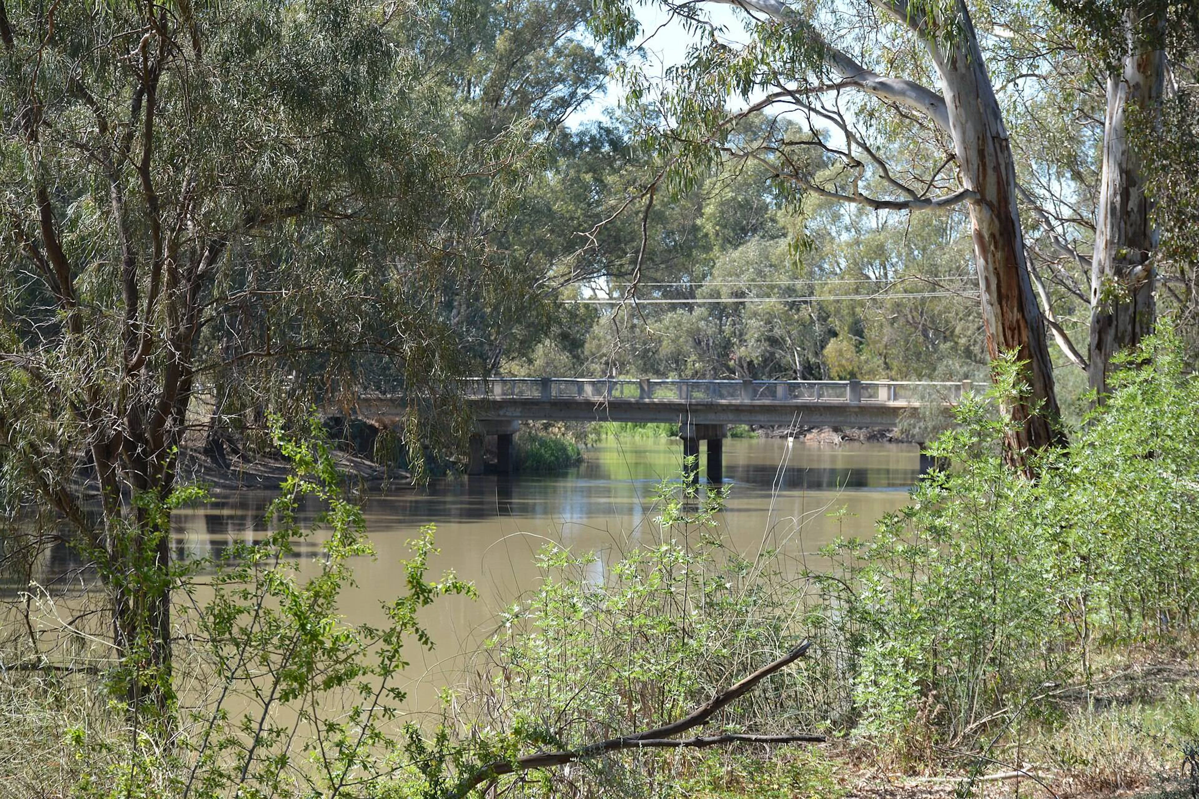 Swan Hill South Rest Area in Swan Hill, VIC — photo 2
