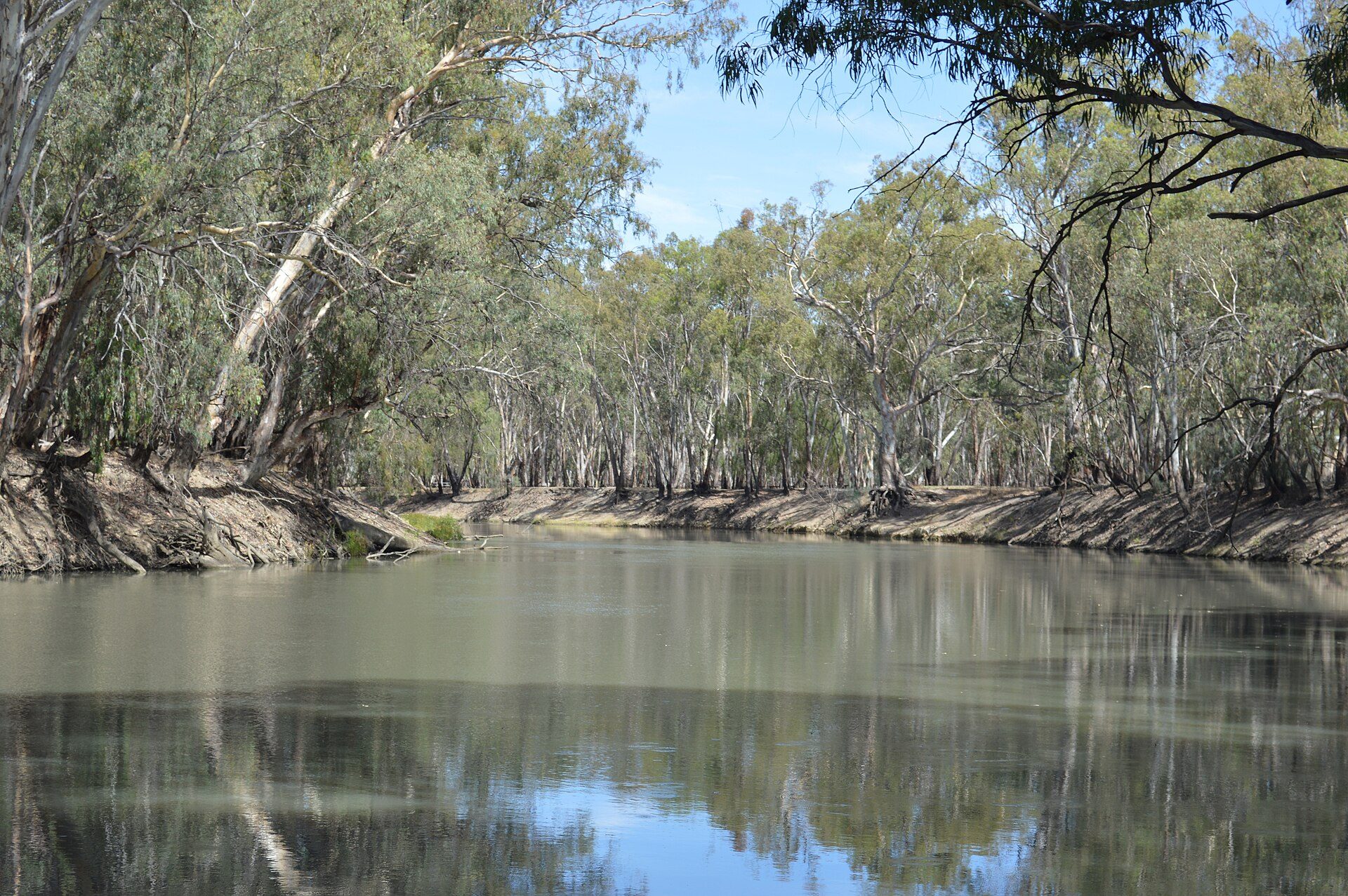 Balranald Picnic Area in Balranald, NSW — photo 1