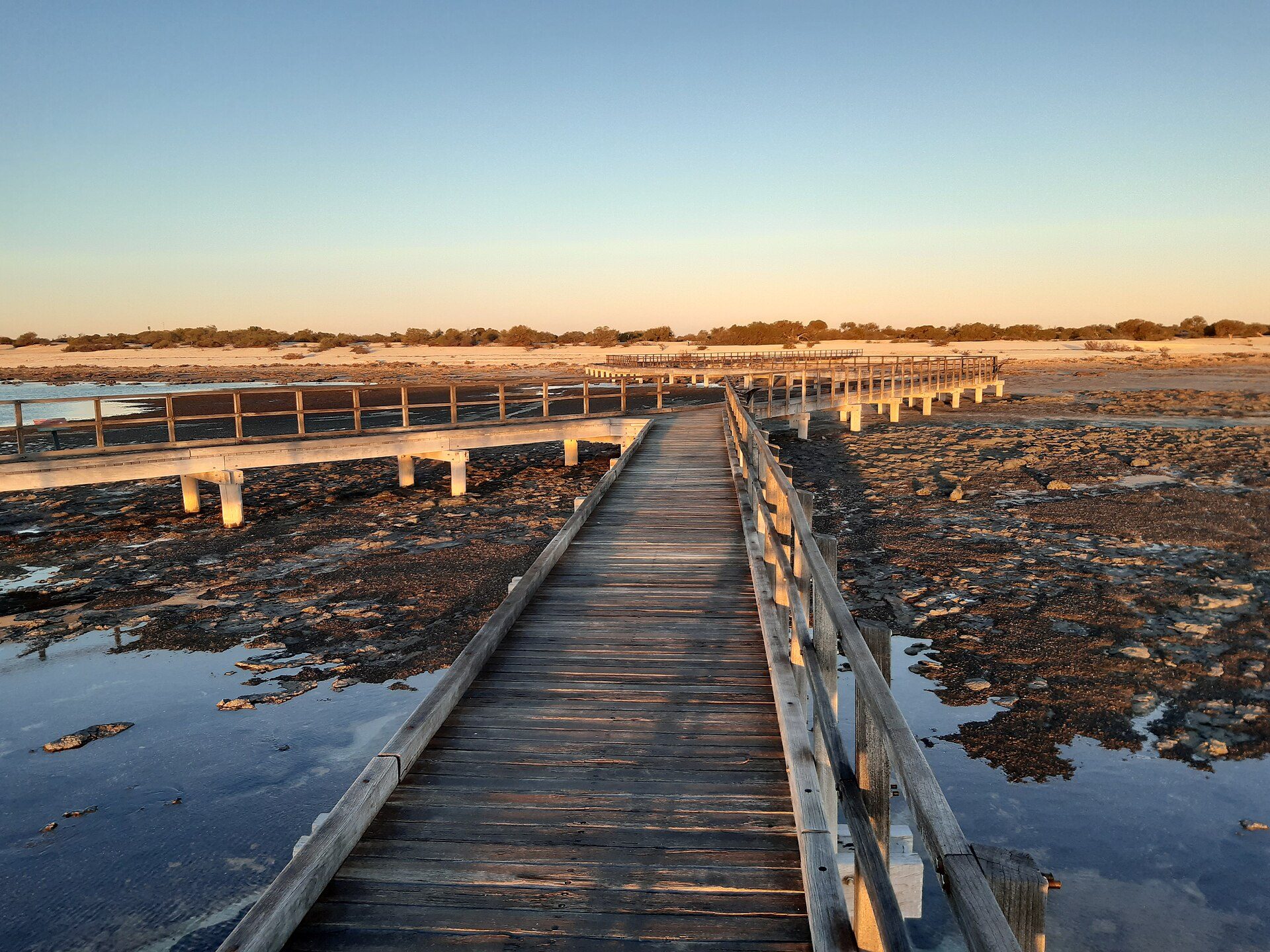 Hamelin Pool Caravan Park in Hamelin Pool, WA — photo 1