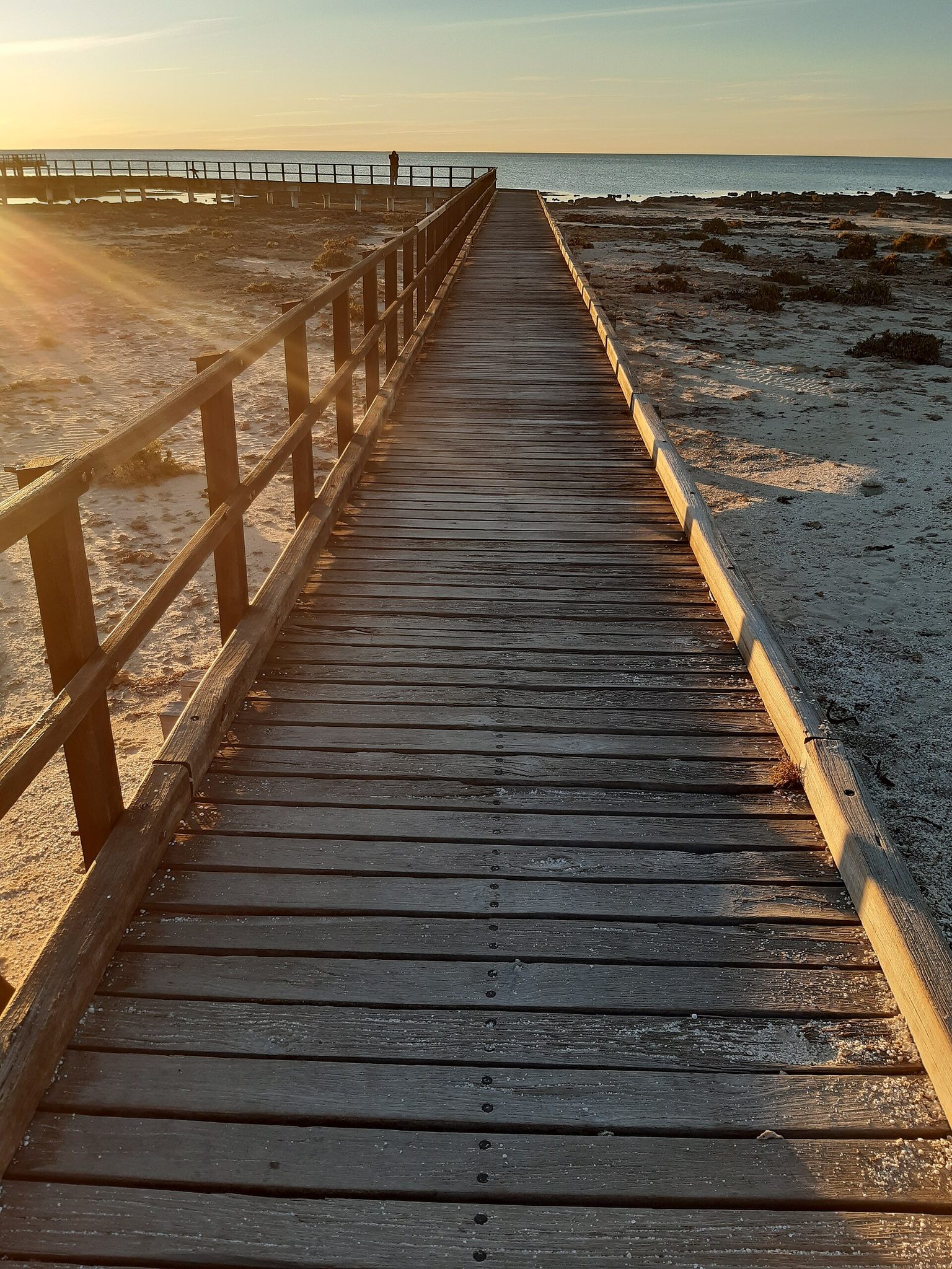 Hamelin Pool Caravan Park in Hamelin Pool, WA — photo 2