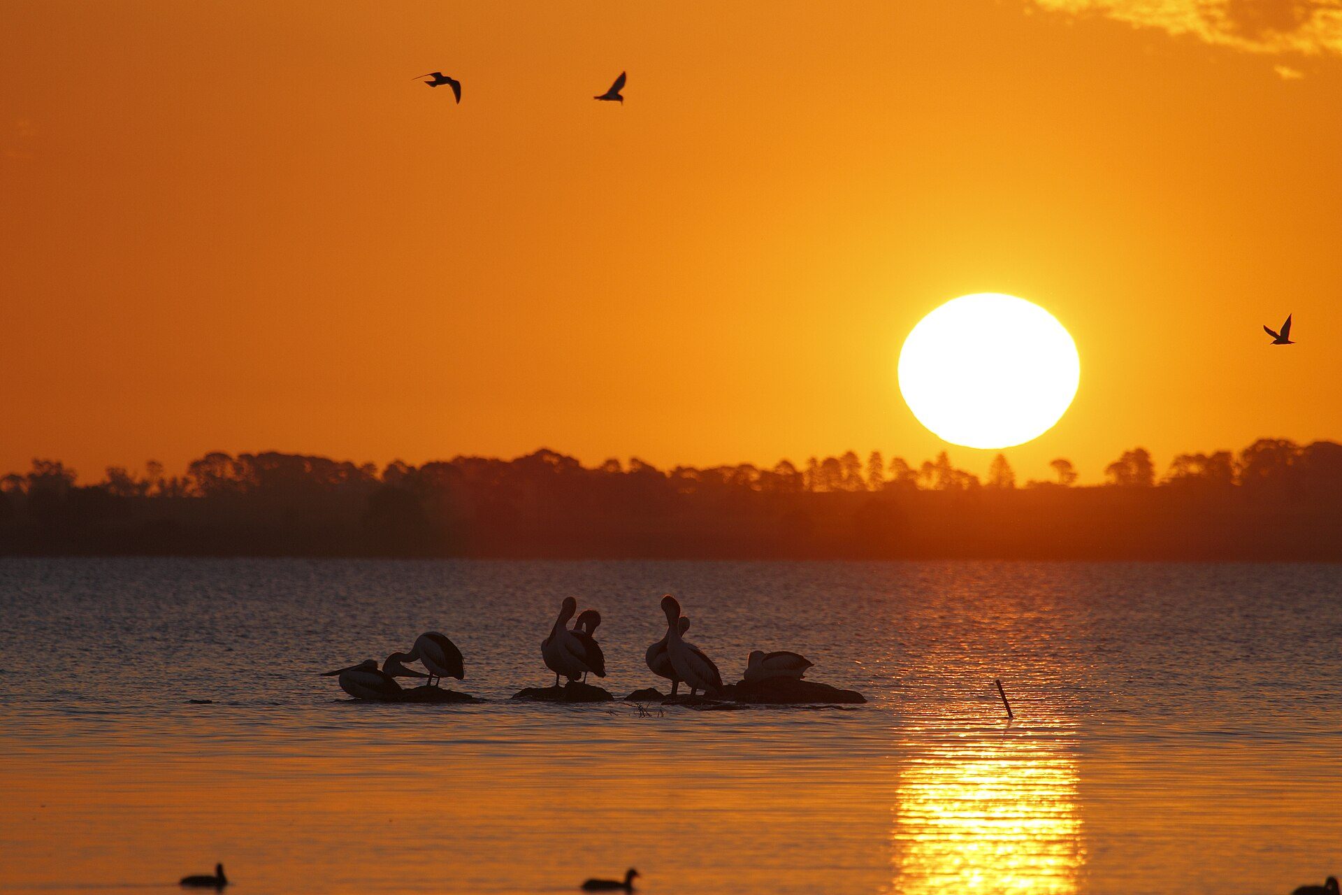 Lake Burrumbeet Caravan Park in Burrumbeet, VIC — photo 3