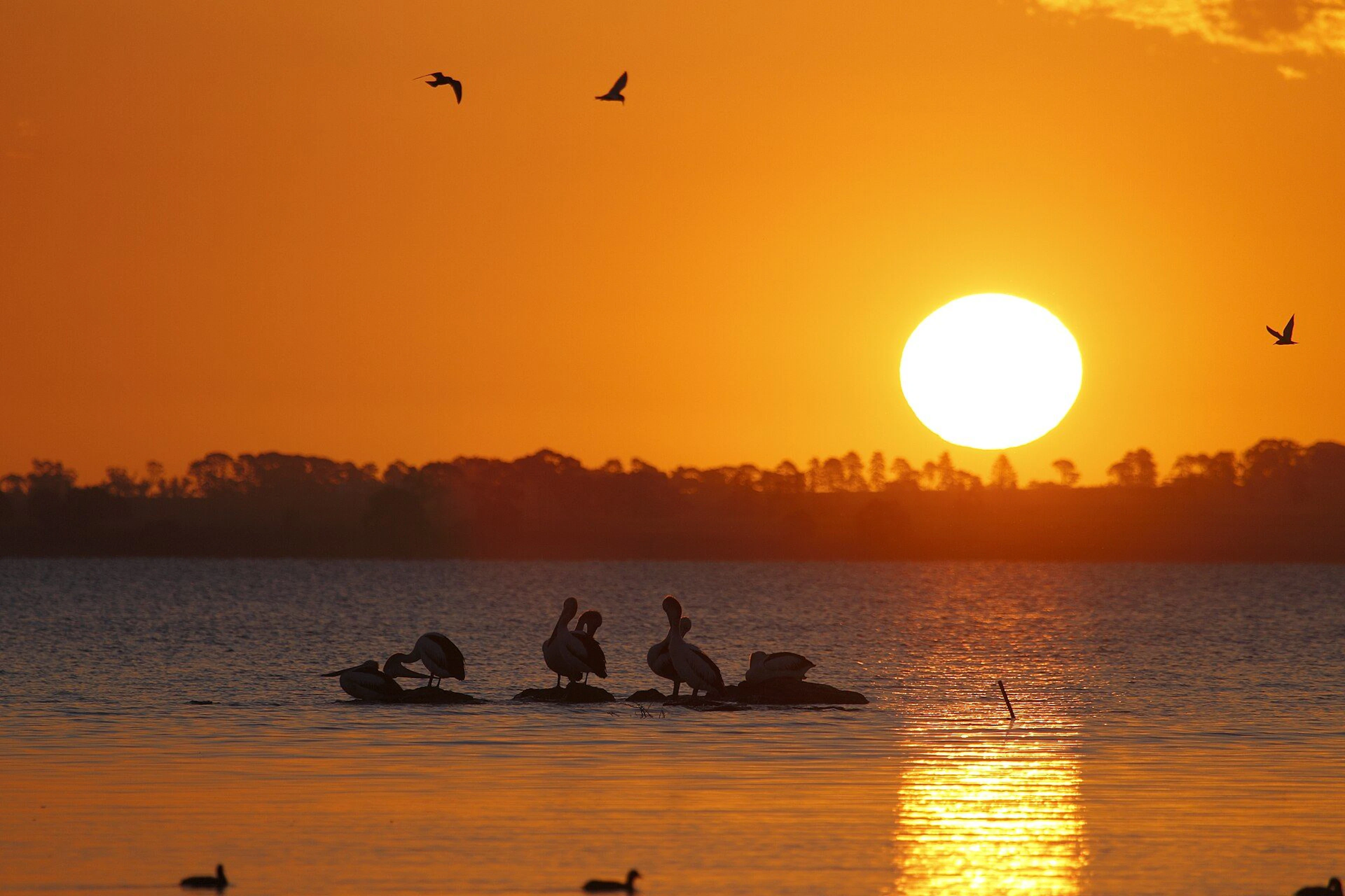 Lake Burrumbeet Caravan Park in Burrumbeet, VIC — photo 3