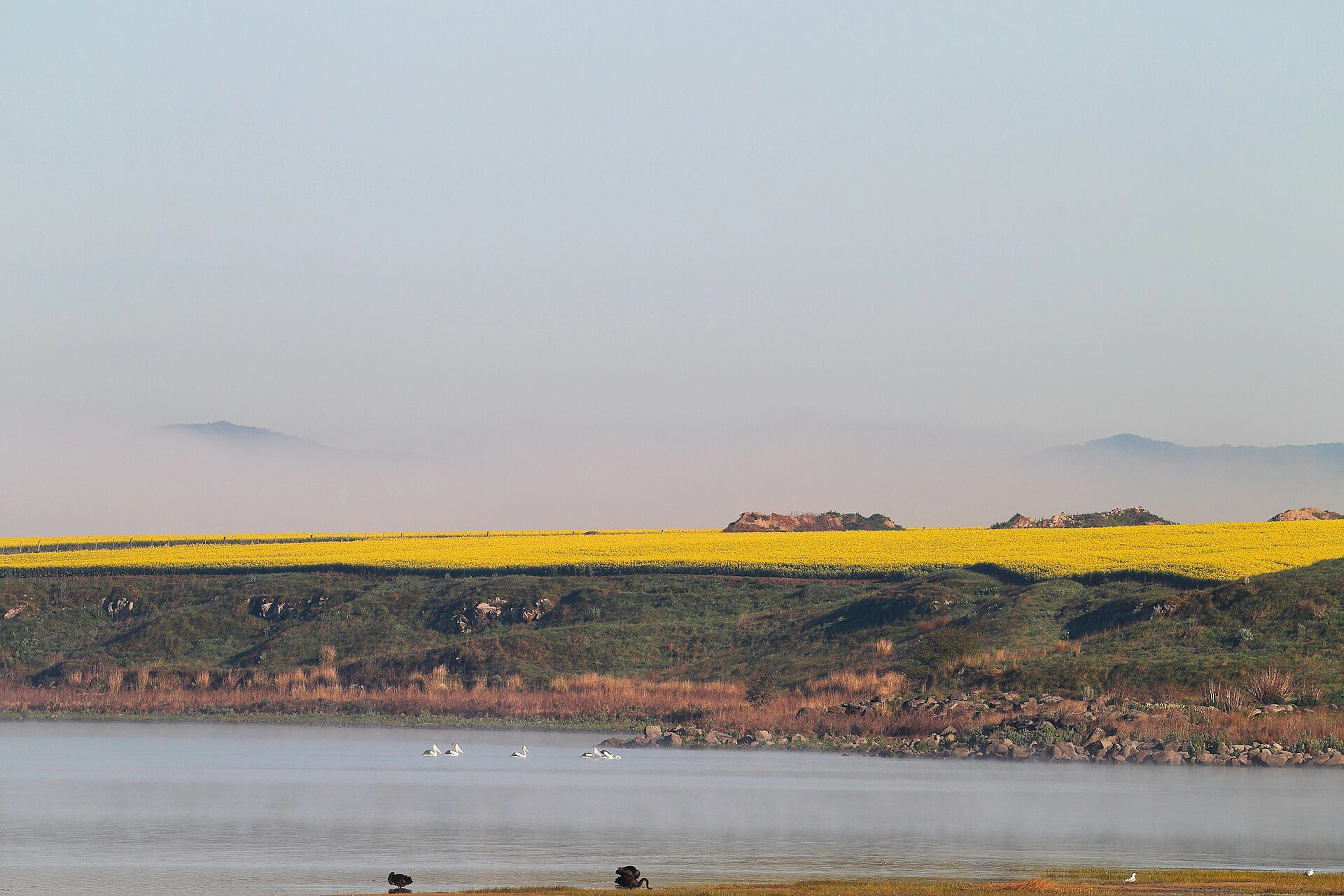 Lake Burrumbeet Caravan Park in Burrumbeet, VIC — photo 1