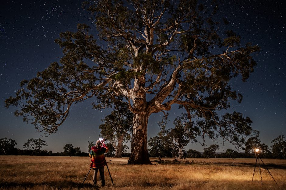 Grampians Paradise Camping and Caravan Parkland in Pomonal, VIC — photo 4