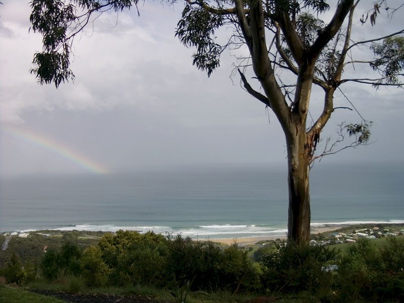 Skenes Creek Beachfront Park in Skenes Creek, VIC — photo 1
