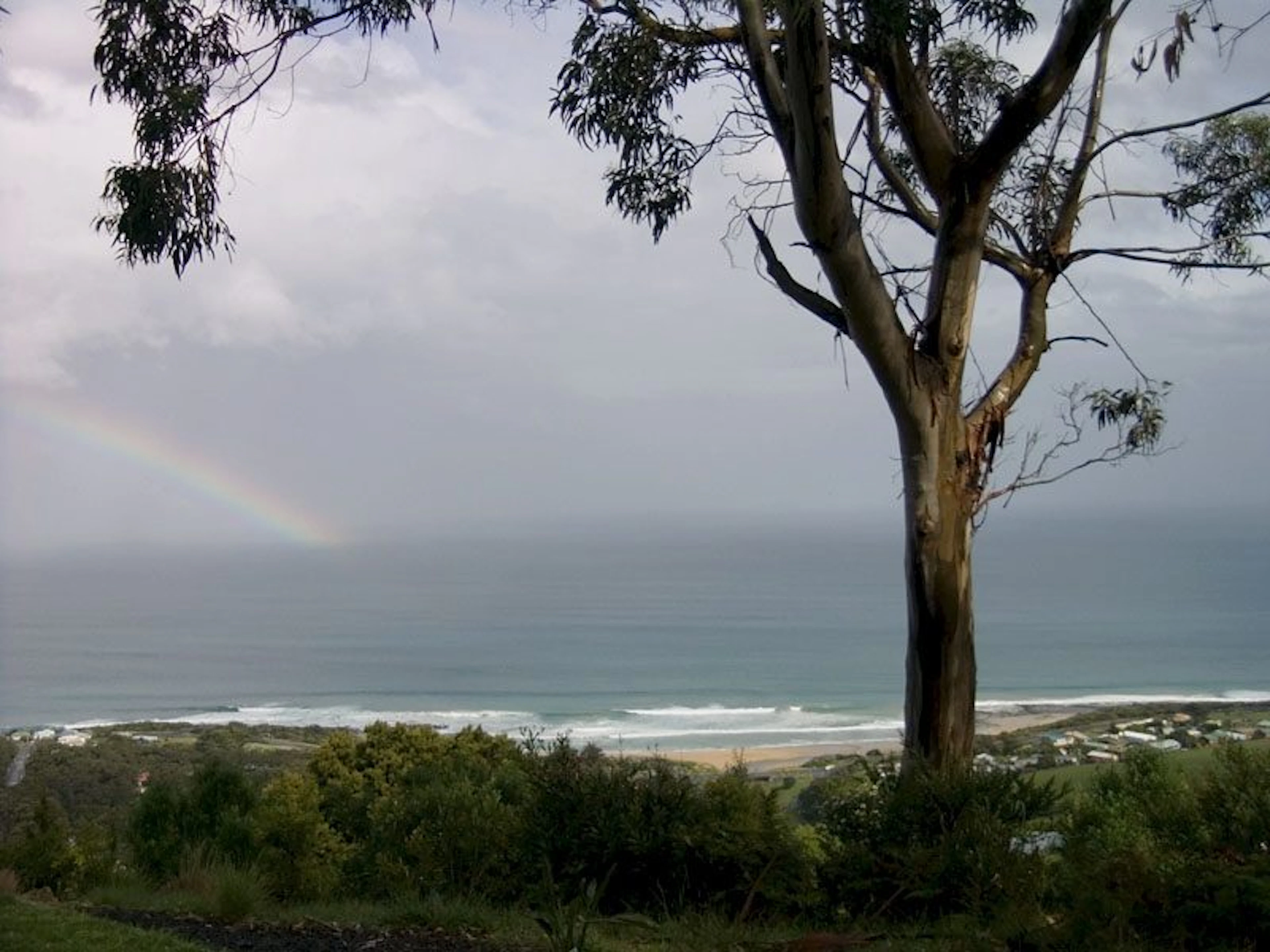 Skenes Creek Beachfront Park in Skenes Creek, VIC — photo 1