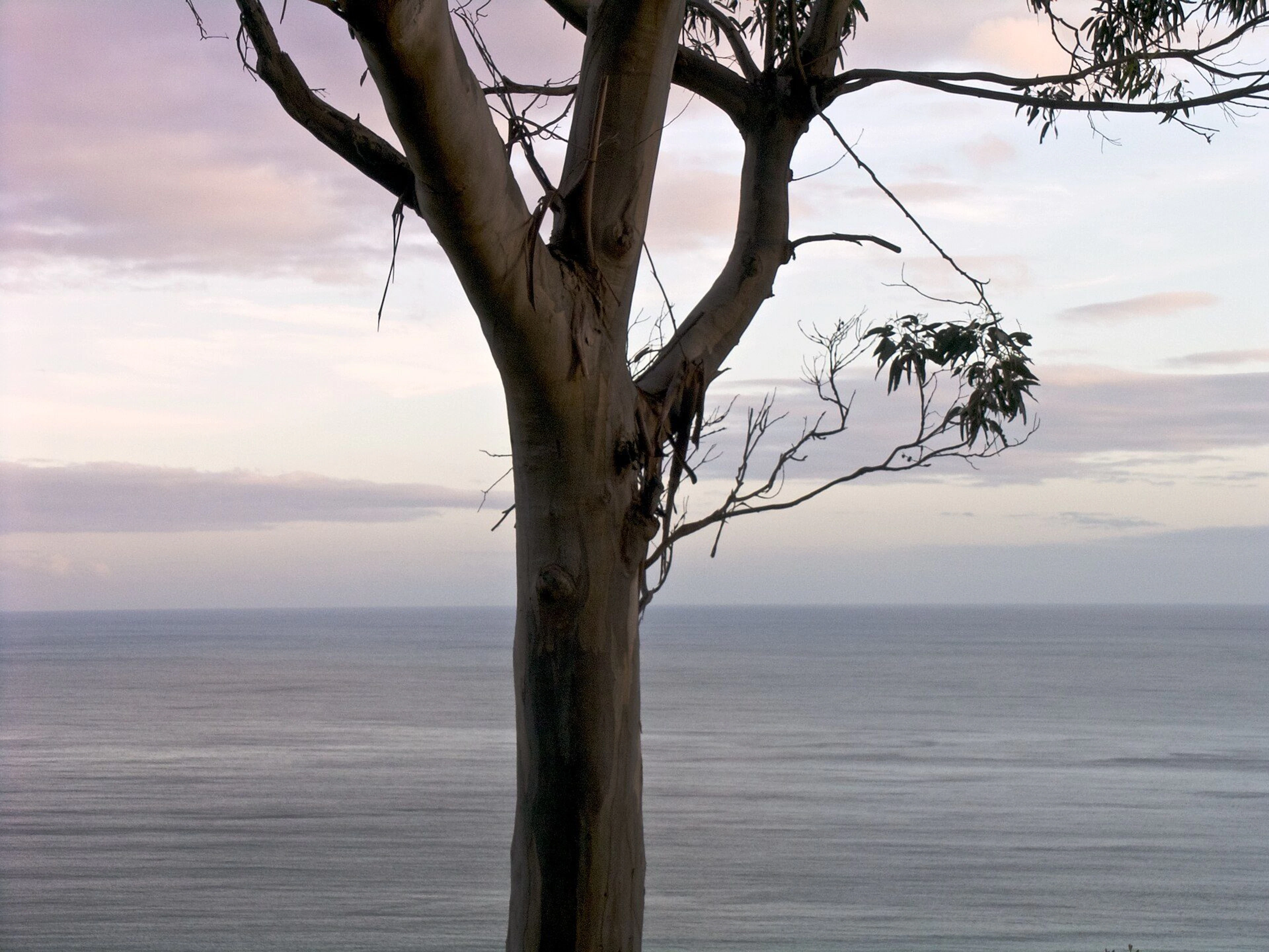 Skenes Creek Beachfront Park in Skenes Creek, VIC — photo 2