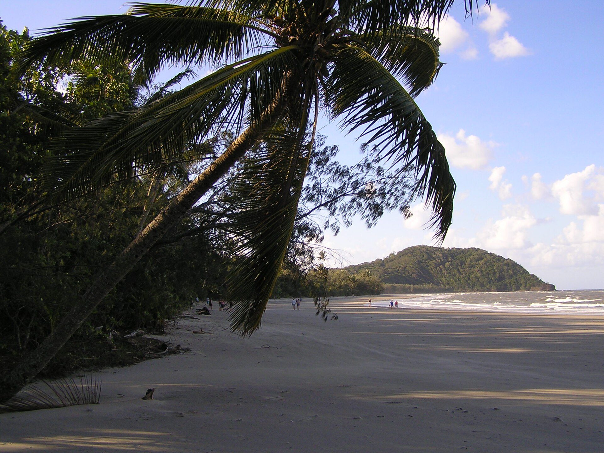 Cape Tribulation Camping in Cape Tribulation, QLD — photo 1