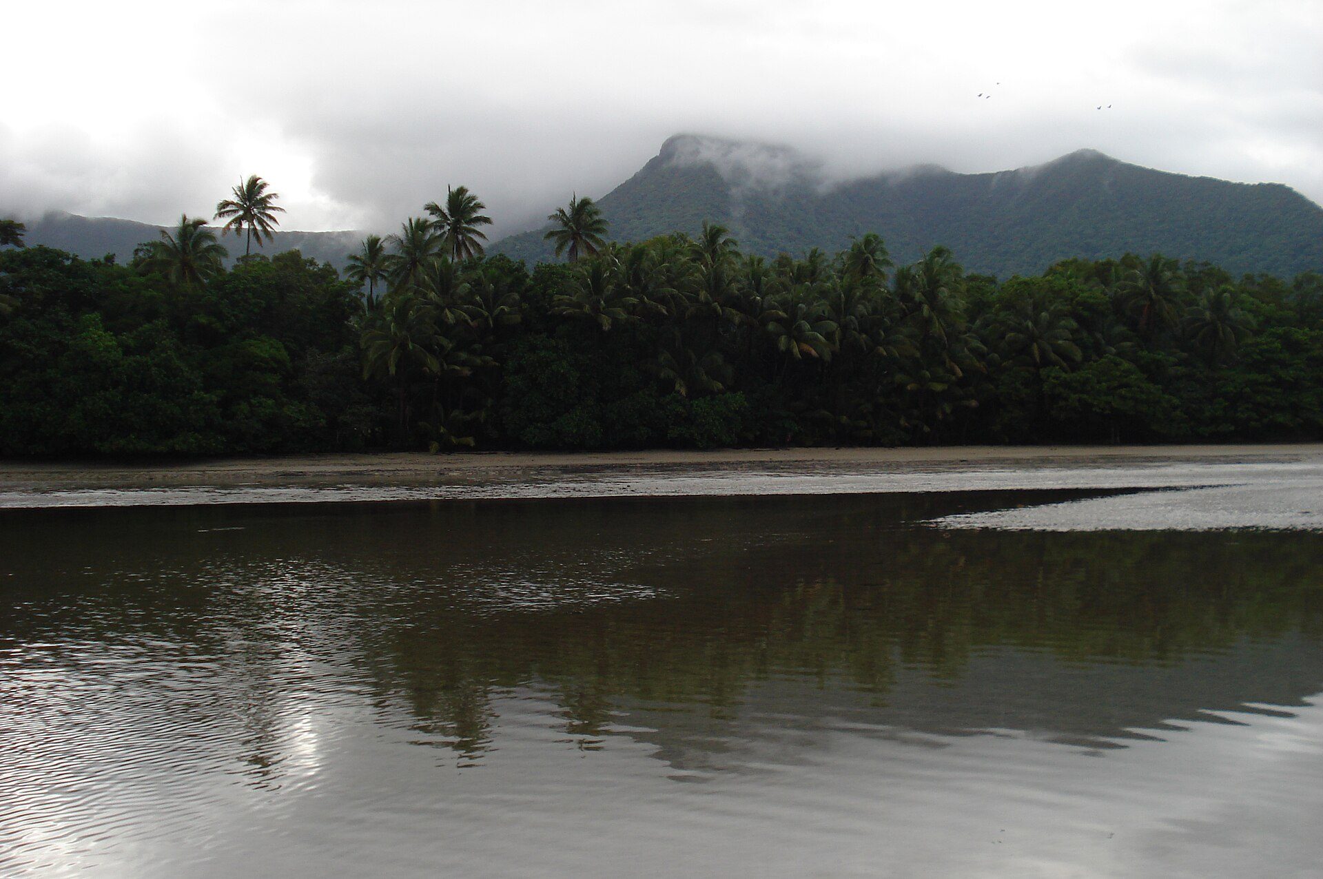 Cape Tribulation Camping in Cape Tribulation, QLD — photo 3