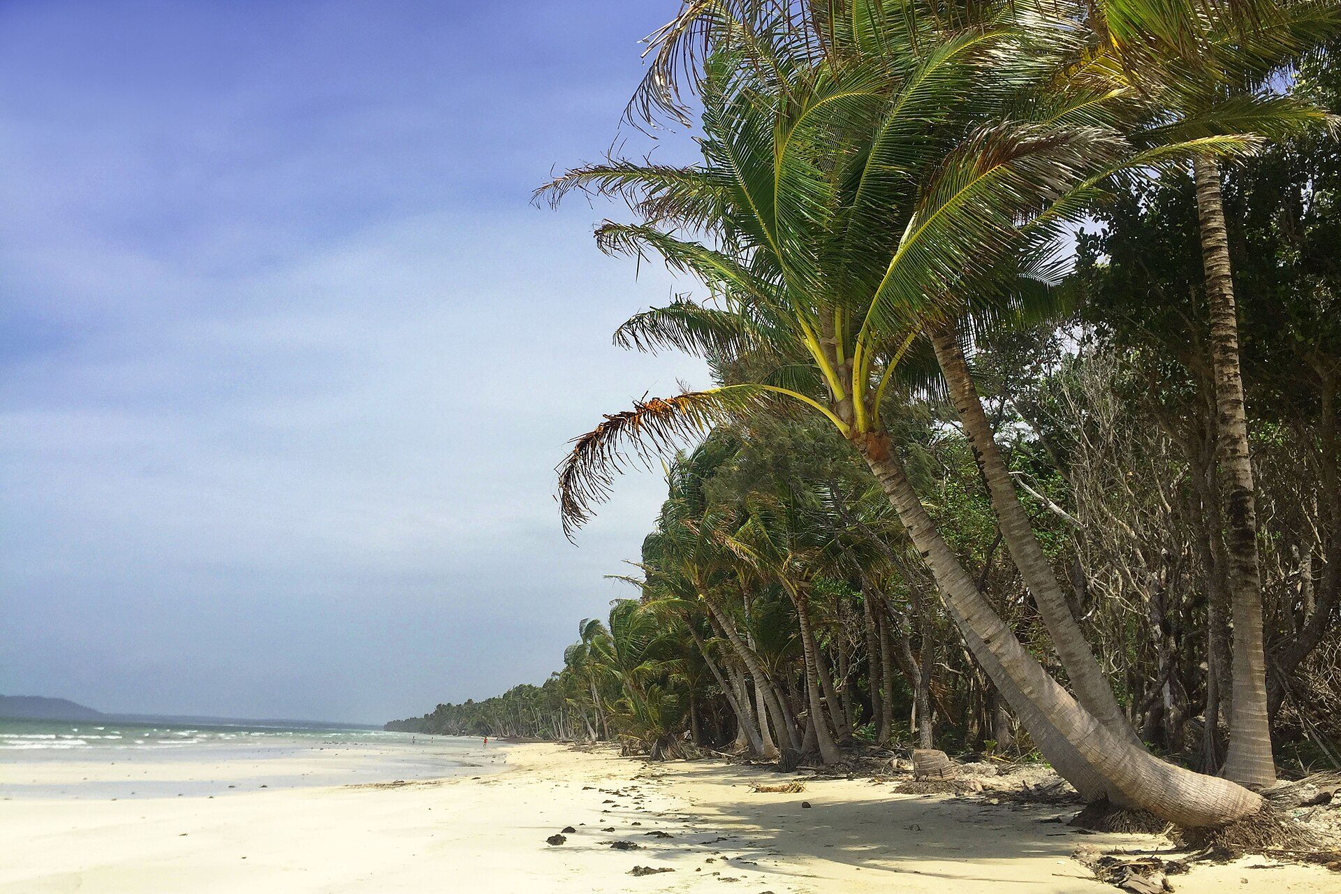 Chilli Beach Campground in Lockhart, QLD — photo 1
