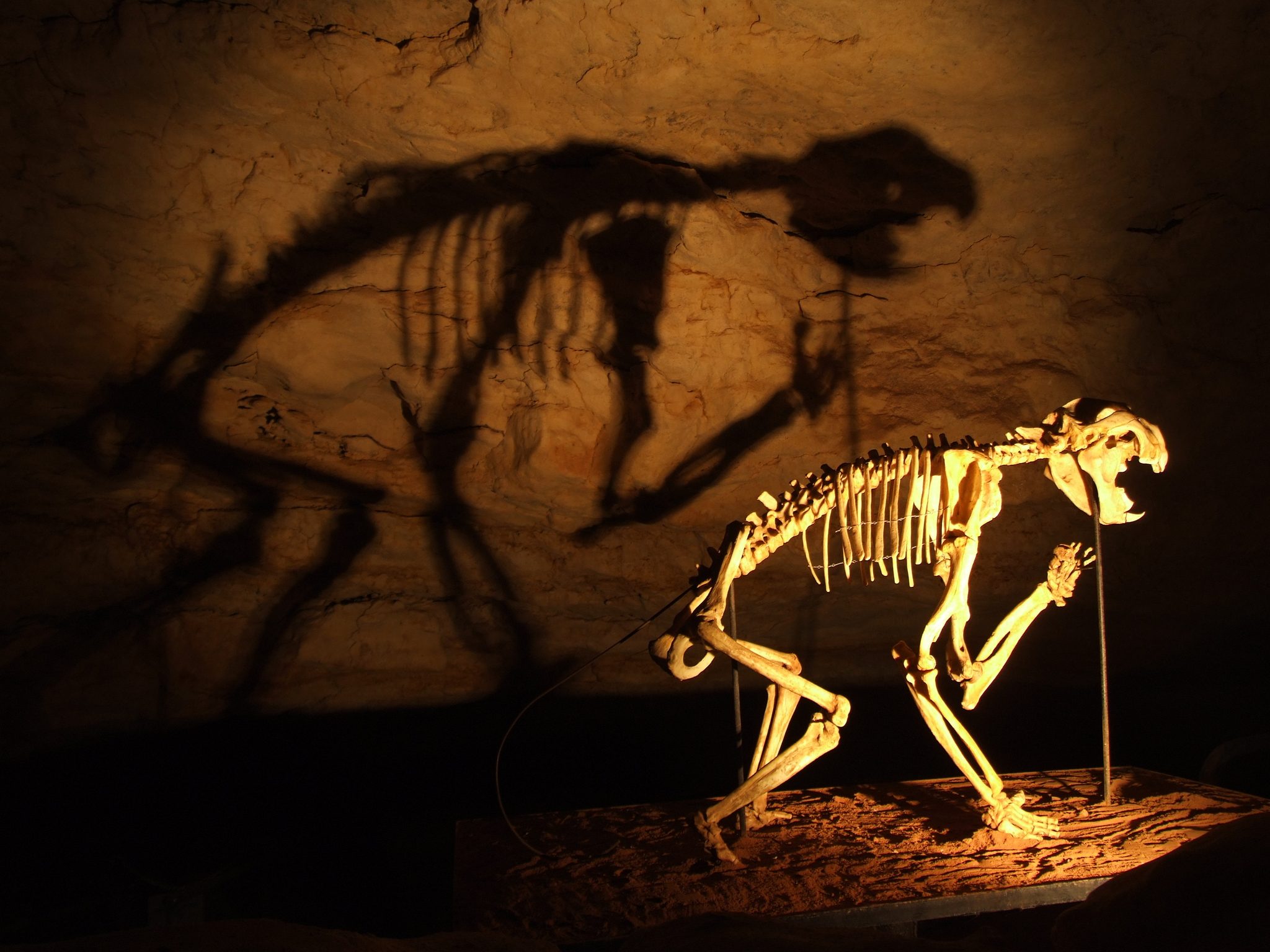 Naracoorte Caves in Joanna, SA — photo 2