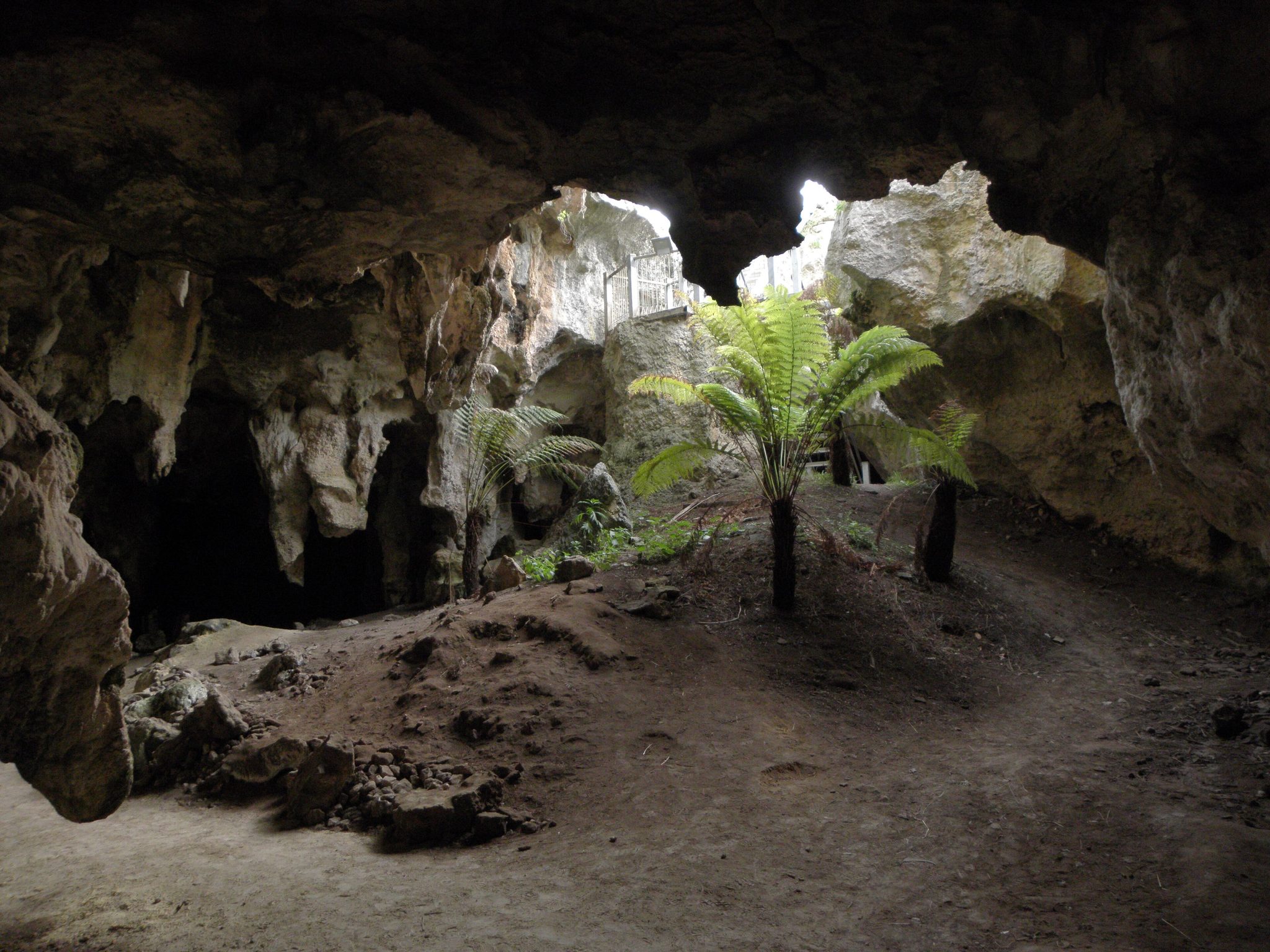 Naracoorte Caves in Joanna, SA — photo 1