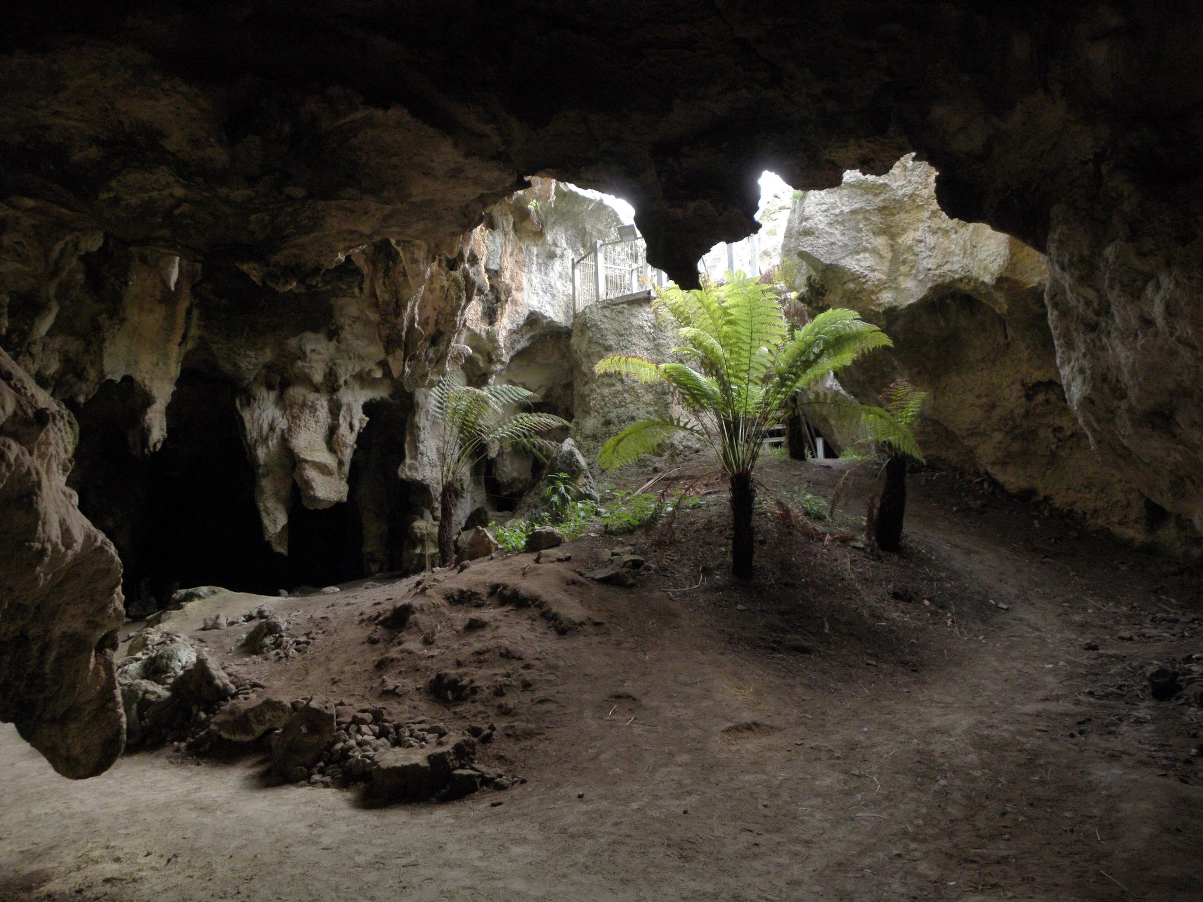 Naracoorte Caves in Joanna, SA — photo 1