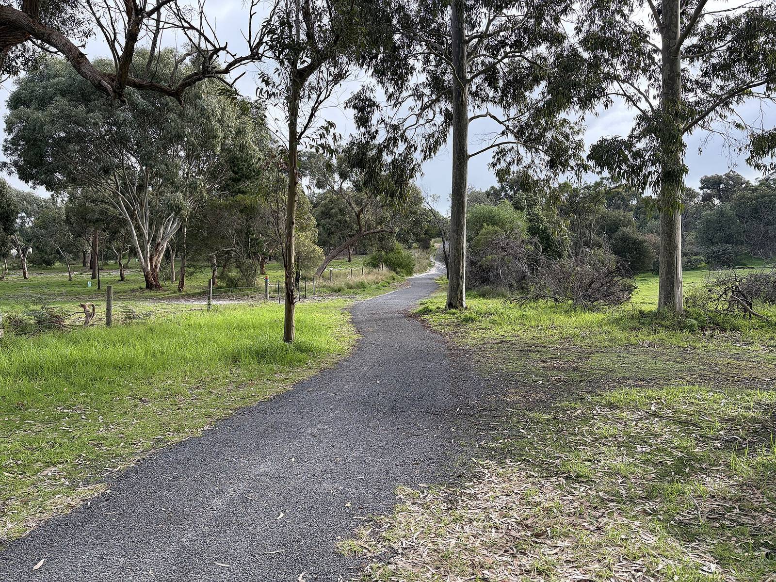 Naracoorte Community Park in Naracoorte, SA — photo 1