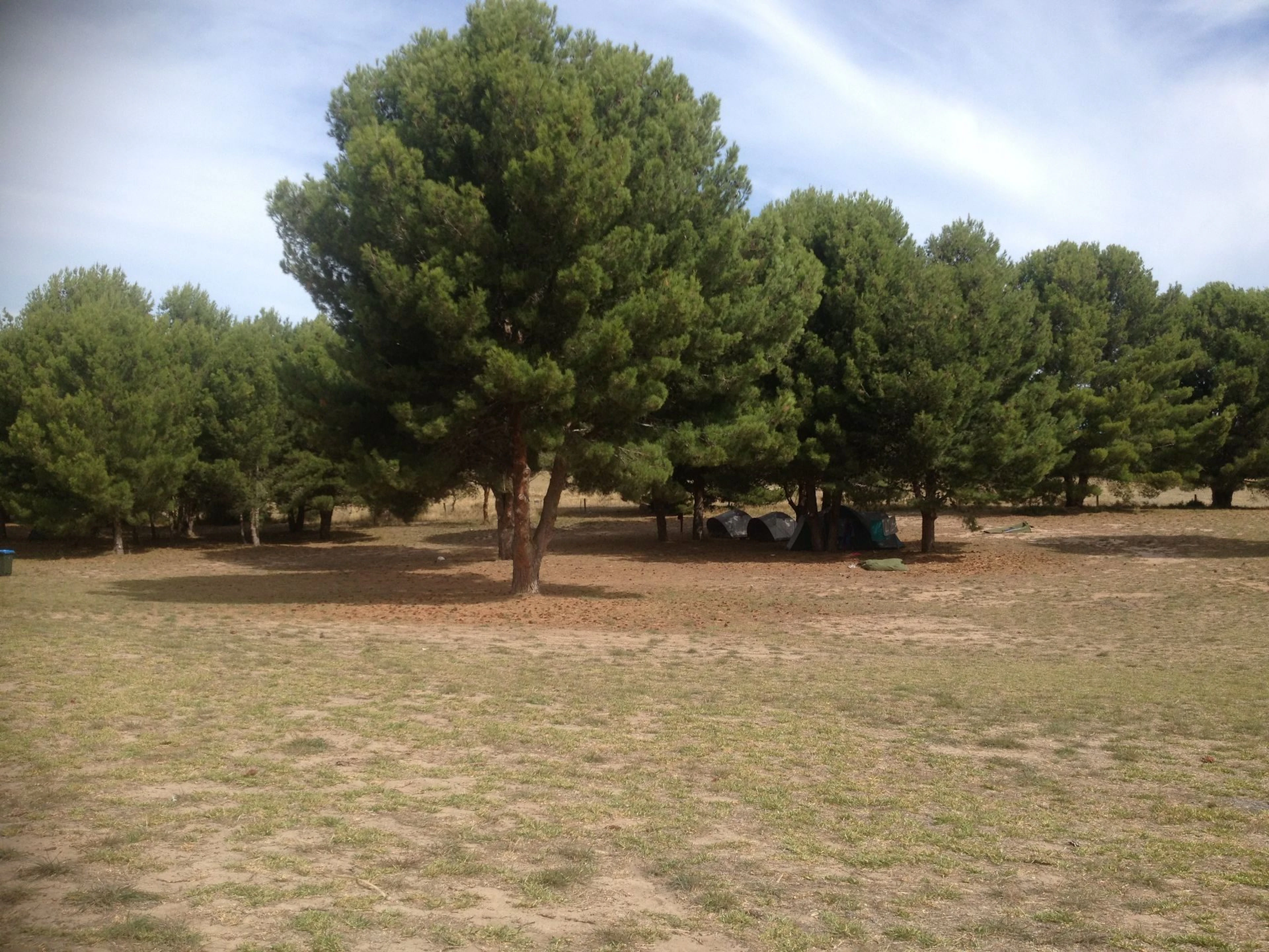 Hindmarsh Island Caravan Park in Hindmarsh Island, SA — photo 4