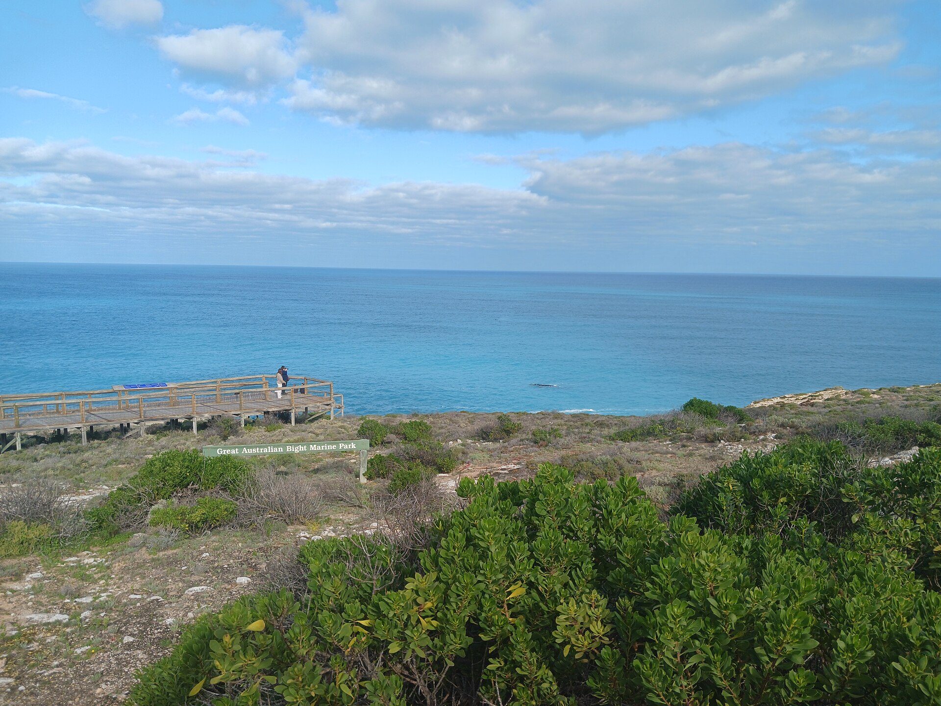 Head of Bight Whale Watching in Yalata, SA — photo 1