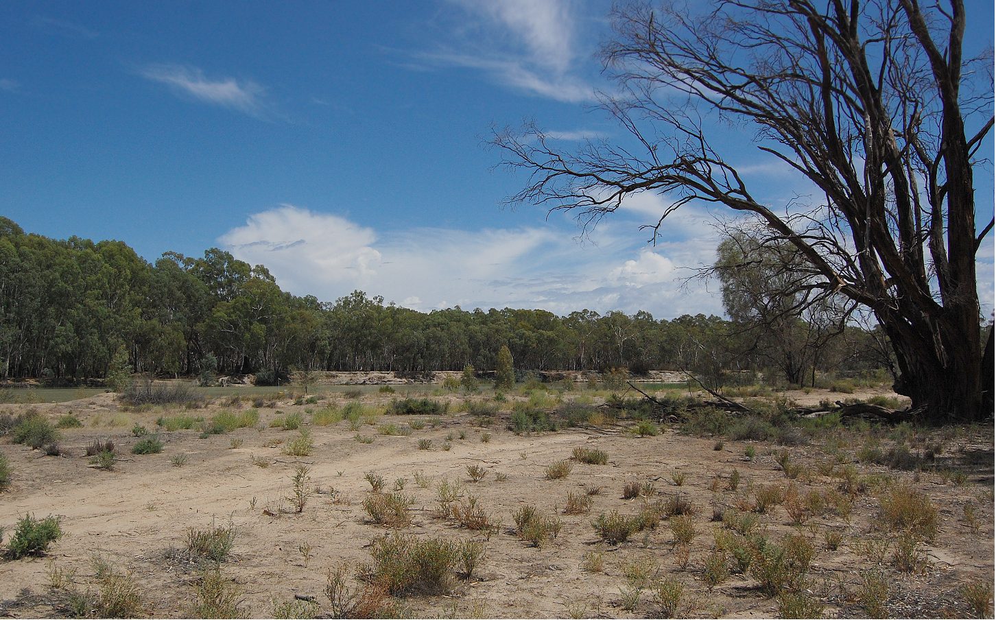 Rilli Reserve in Loxton North, SA — photo 2