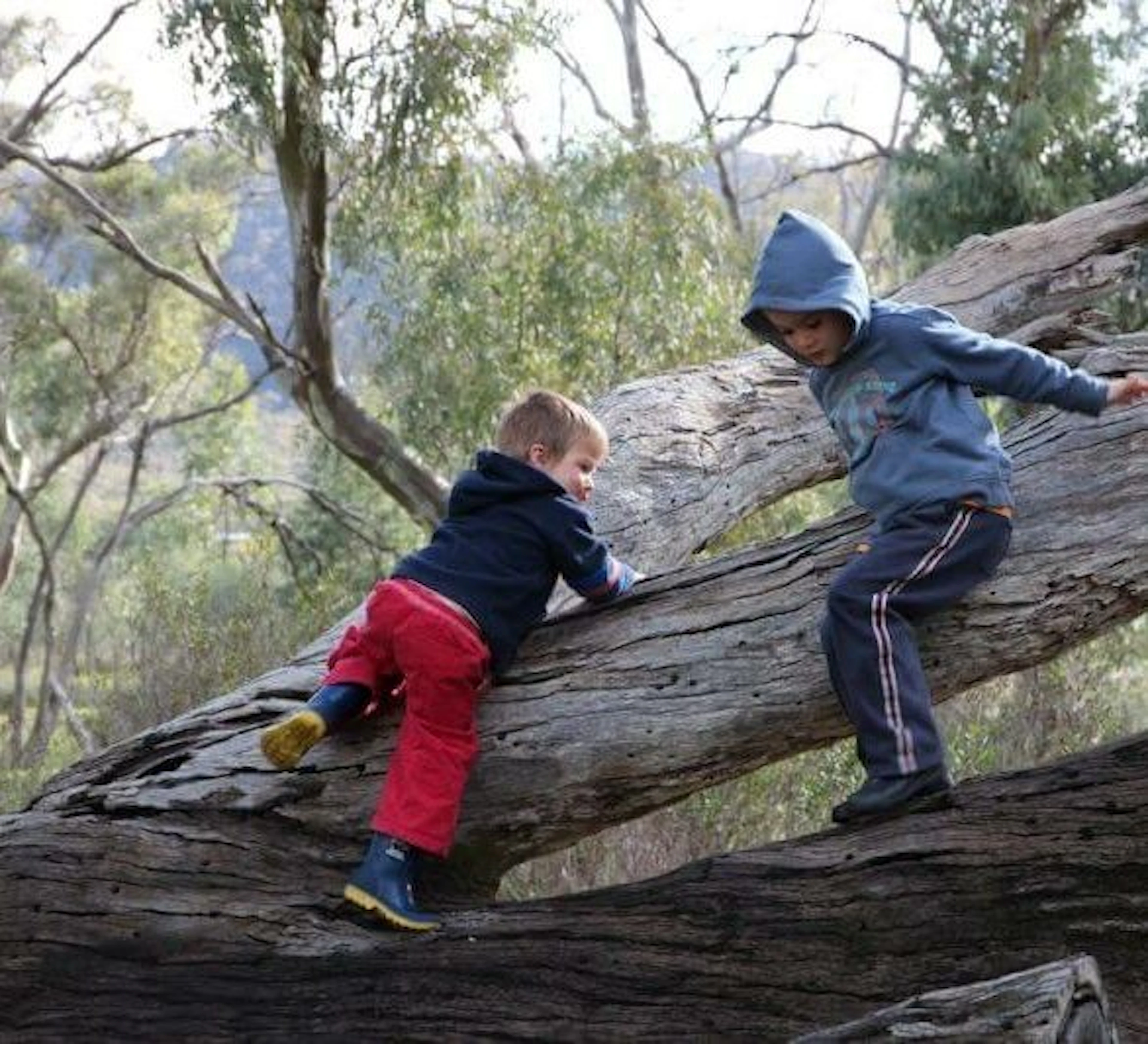Kookaburra Creek Retreat in Melrose, SA — photo 2