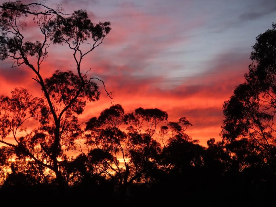 Kookaburra Creek Retreat in Melrose, SA — photo 4
